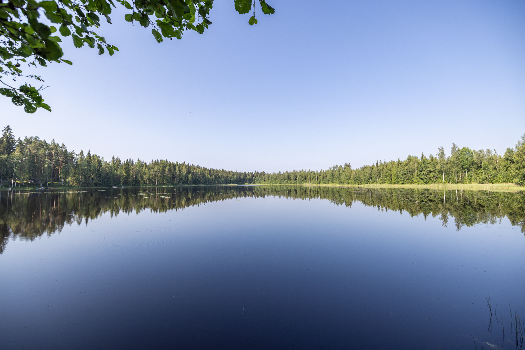 Aurinkorannikontie -, Vitsiälä, Mikkeli