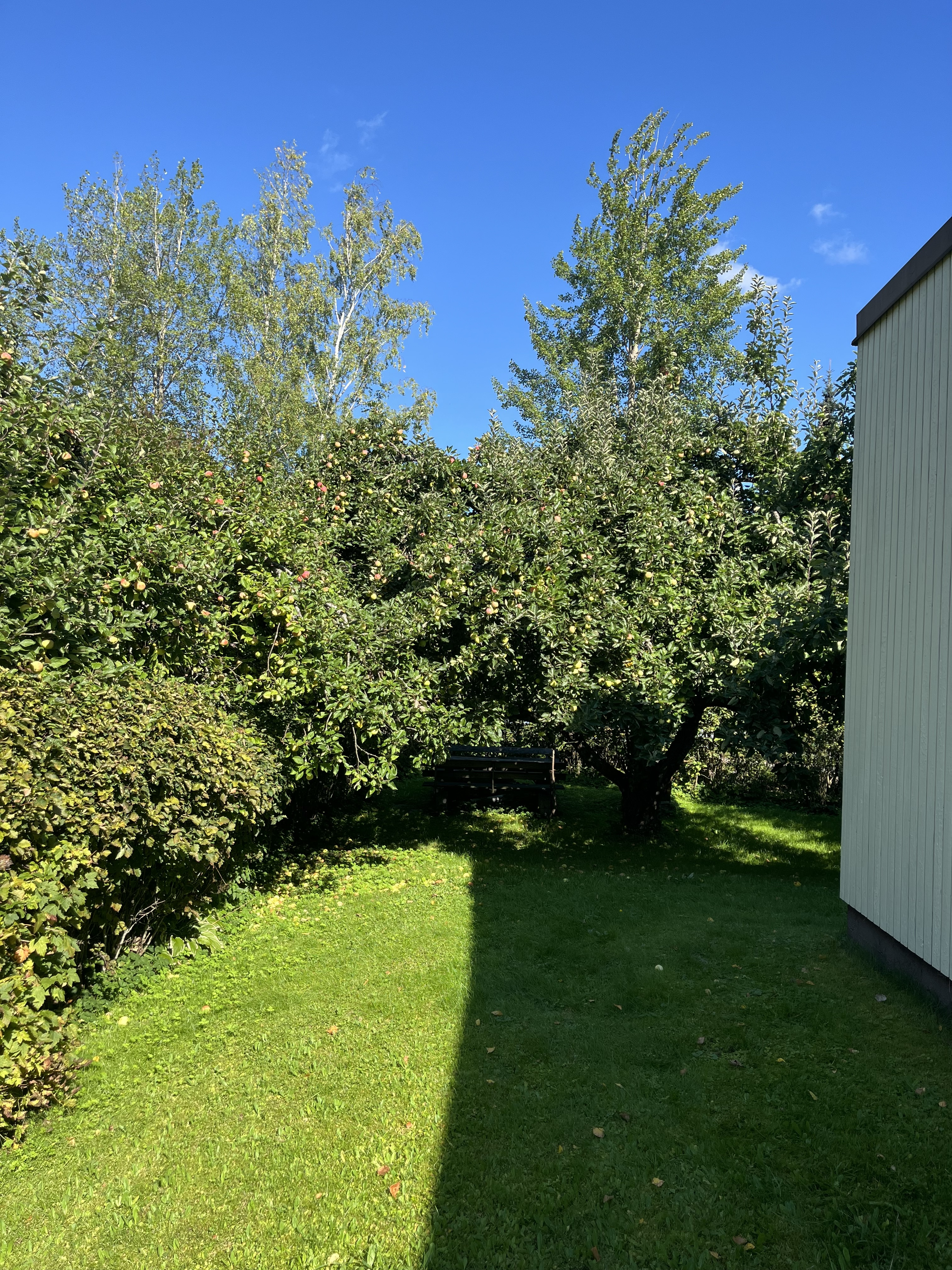 Kotikonnuntie 20, Vesala, Helsinki