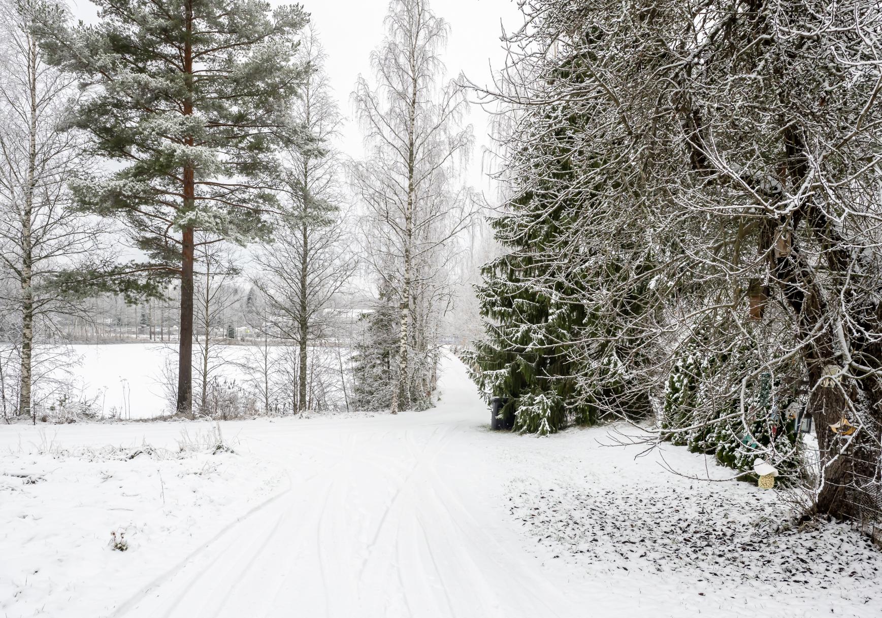 Näkymää lammelle ja tielle.