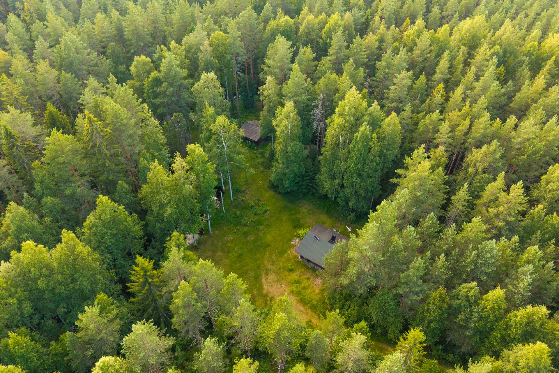 Sauvomäentie xx, Sauvomäki, Hankasalmi