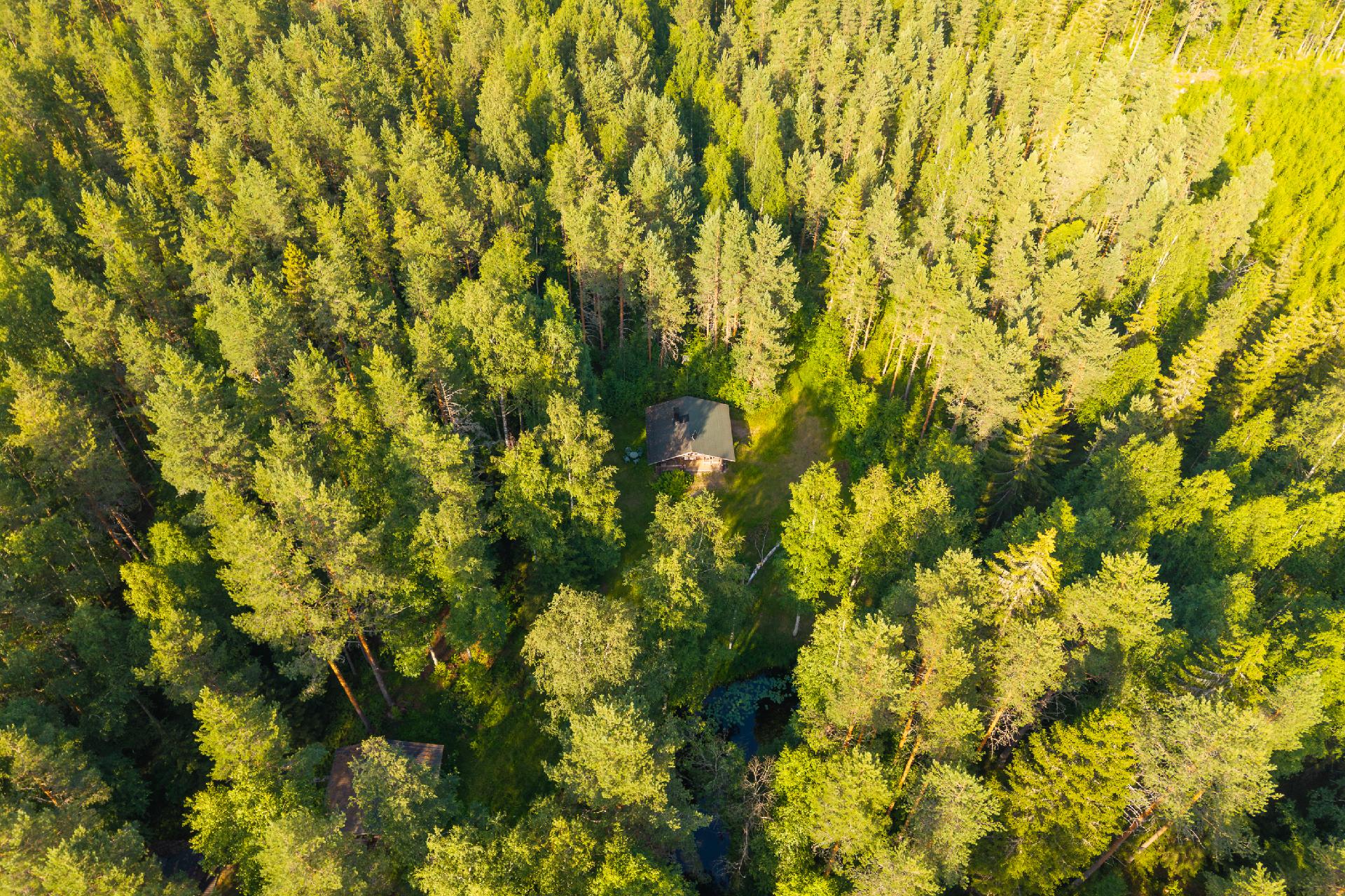 Sauvomäentie xx, Sauvomäki, Hankasalmi