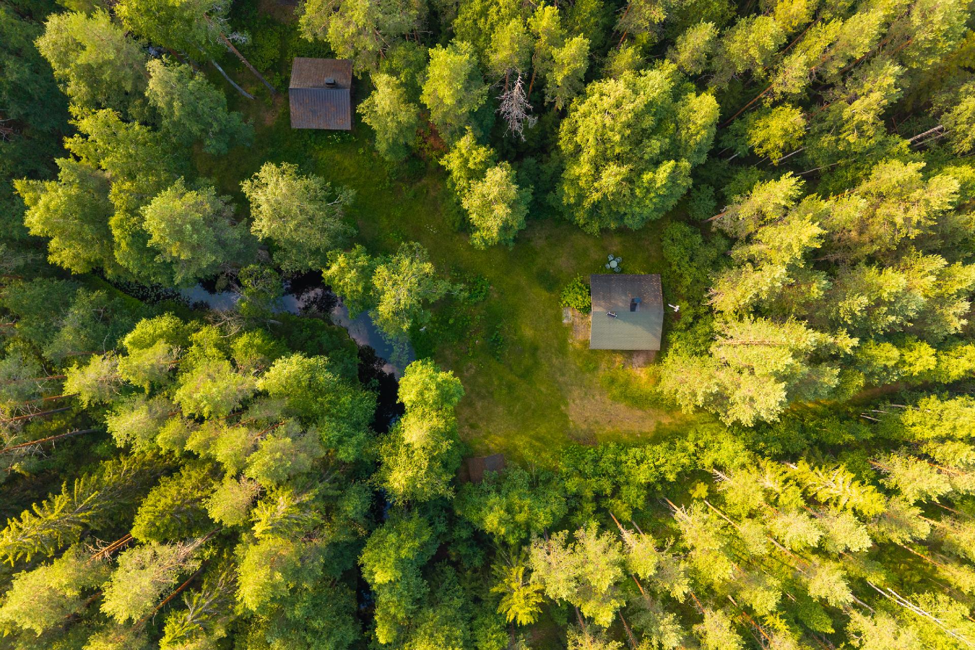 Sauvomäentie xx, Sauvomäki, Hankasalmi