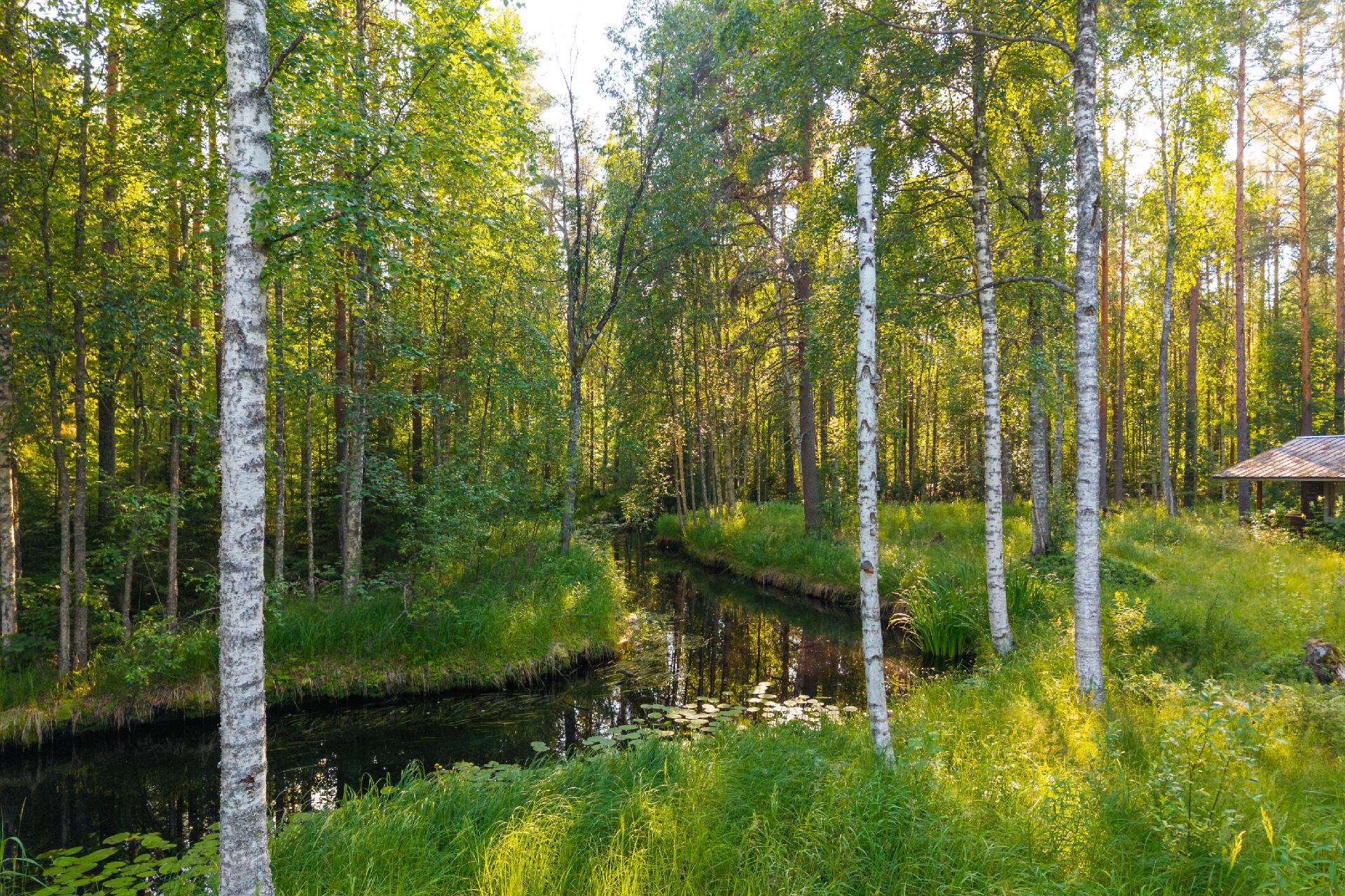 Sauvomäentie xx, Sauvomäki, Hankasalmi