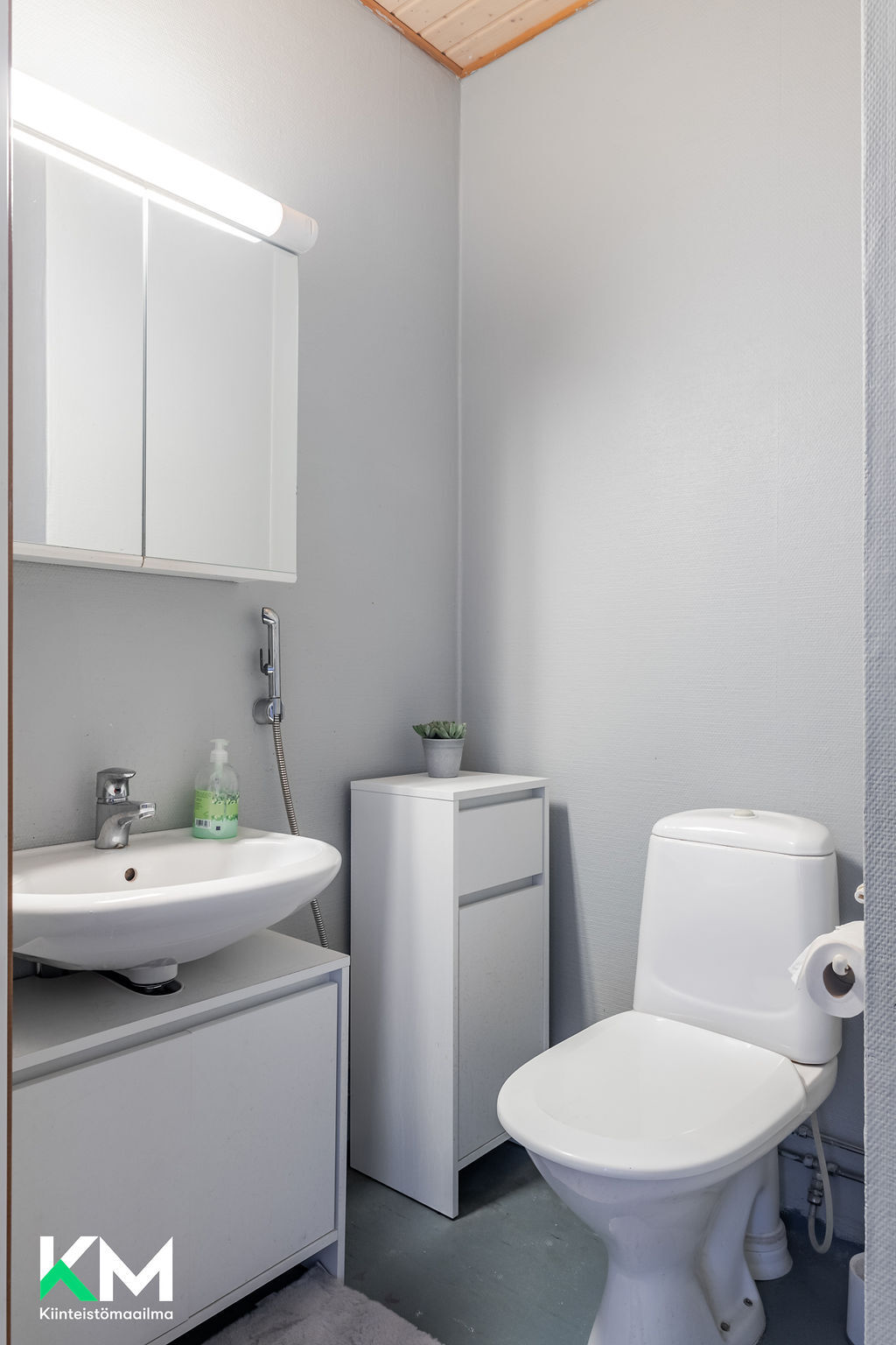 Erillinen wc