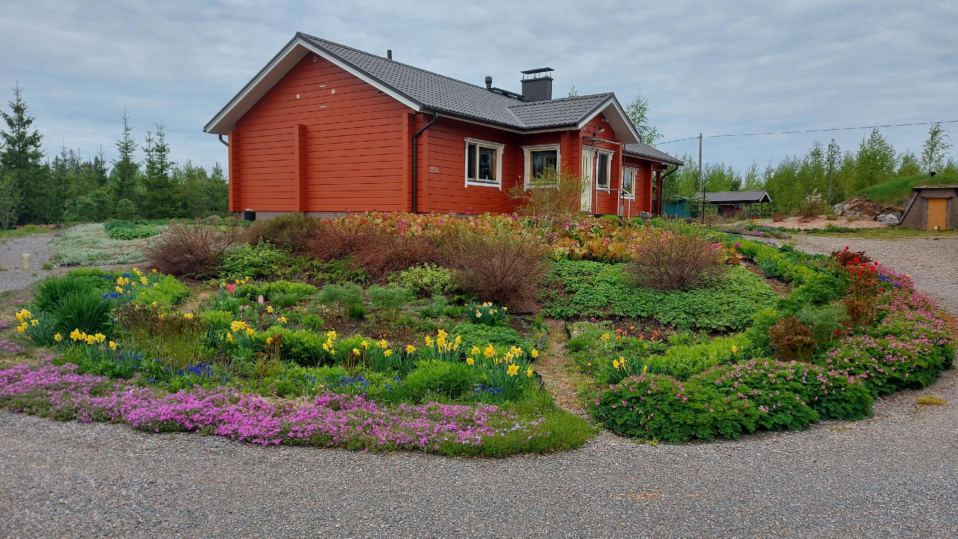 omistajan kuva-albumista