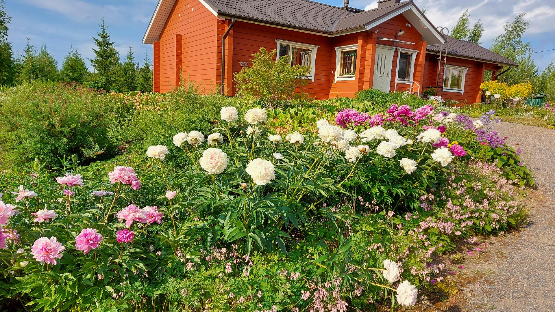 omistajan kuva-almubista