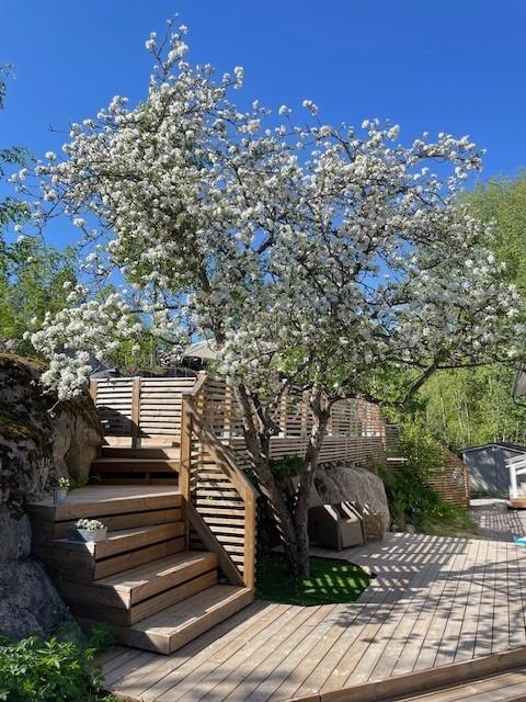 Jokisuontie 6, Vestra, Vantaa