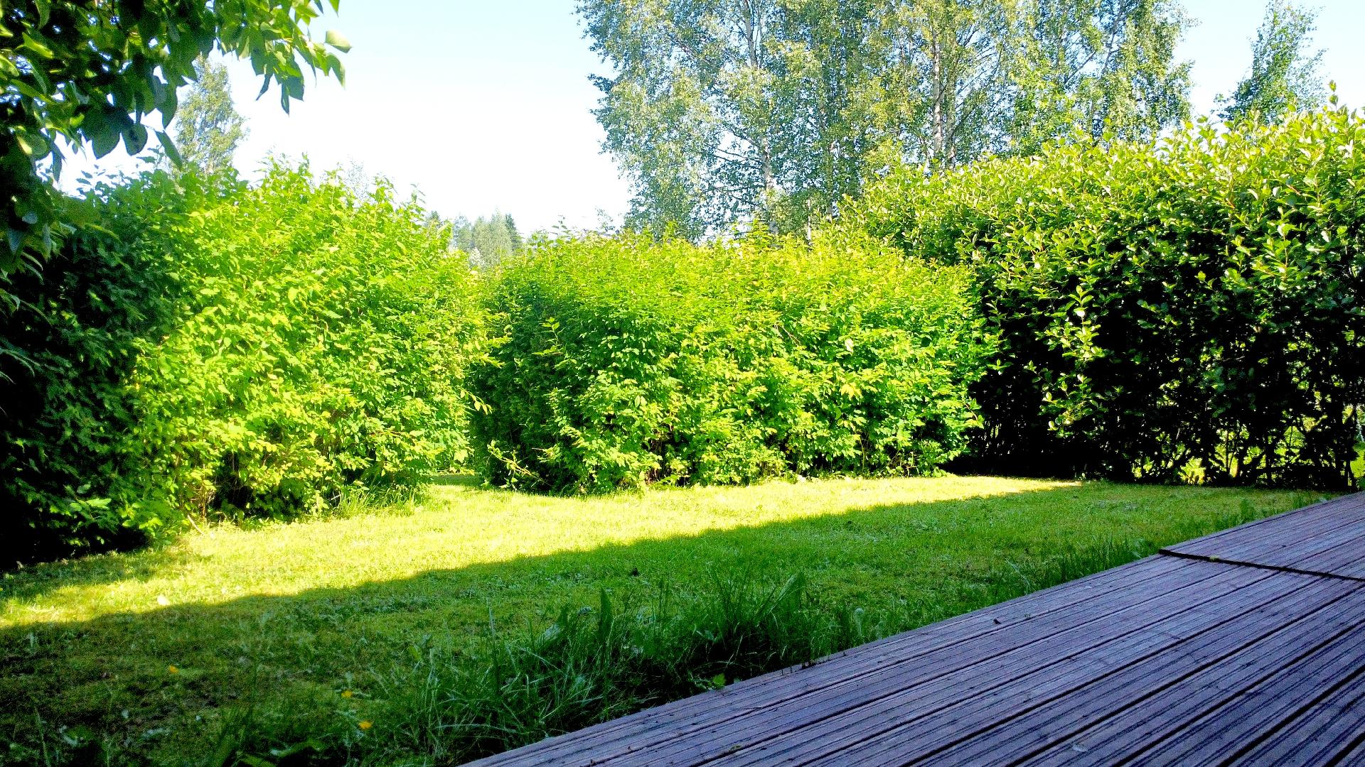 Suntiontie 1, Autio, Kurikka