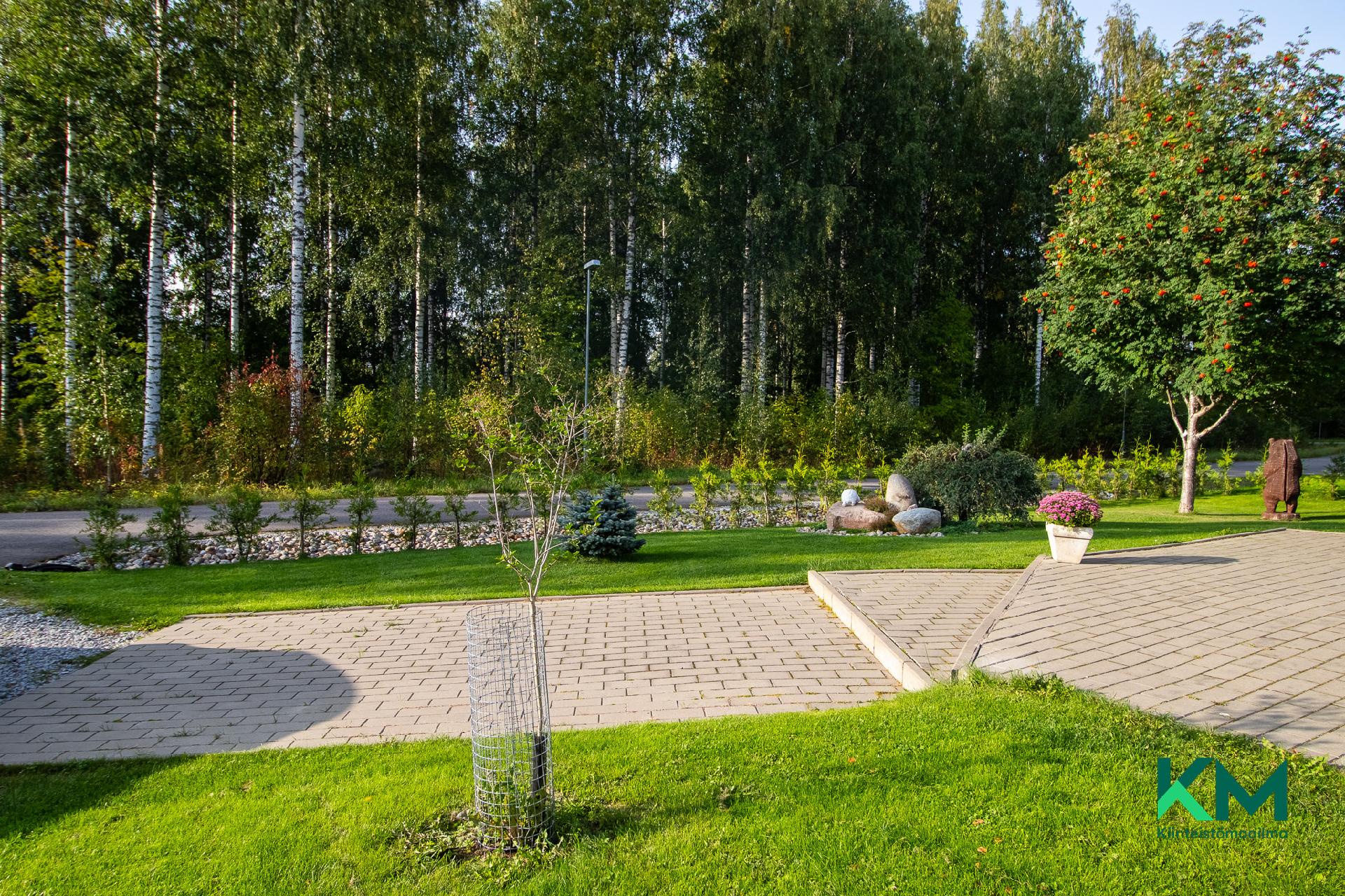 Koivuhovintie 6, Tuunansaari, Savonlinna