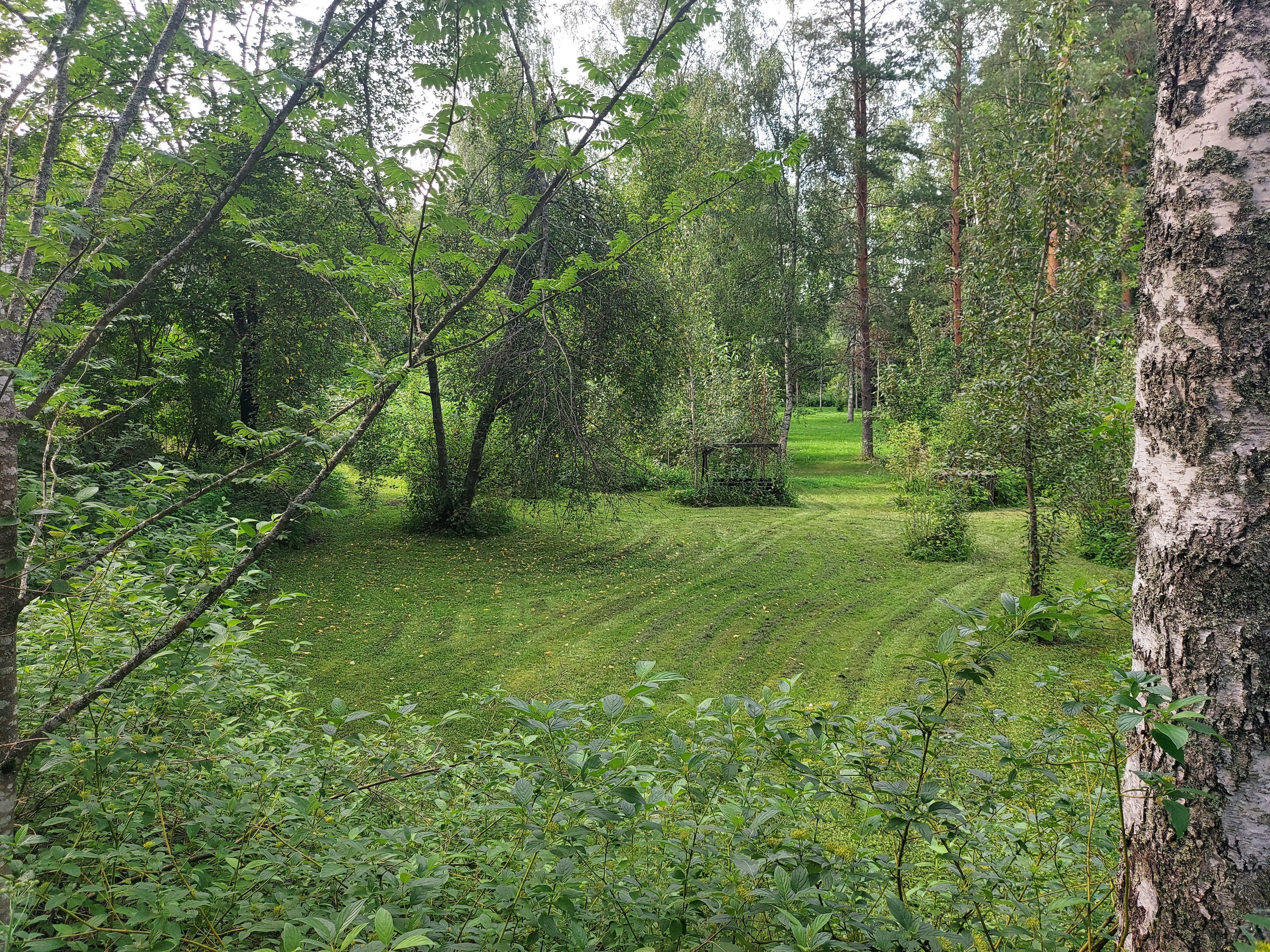 Pihaa