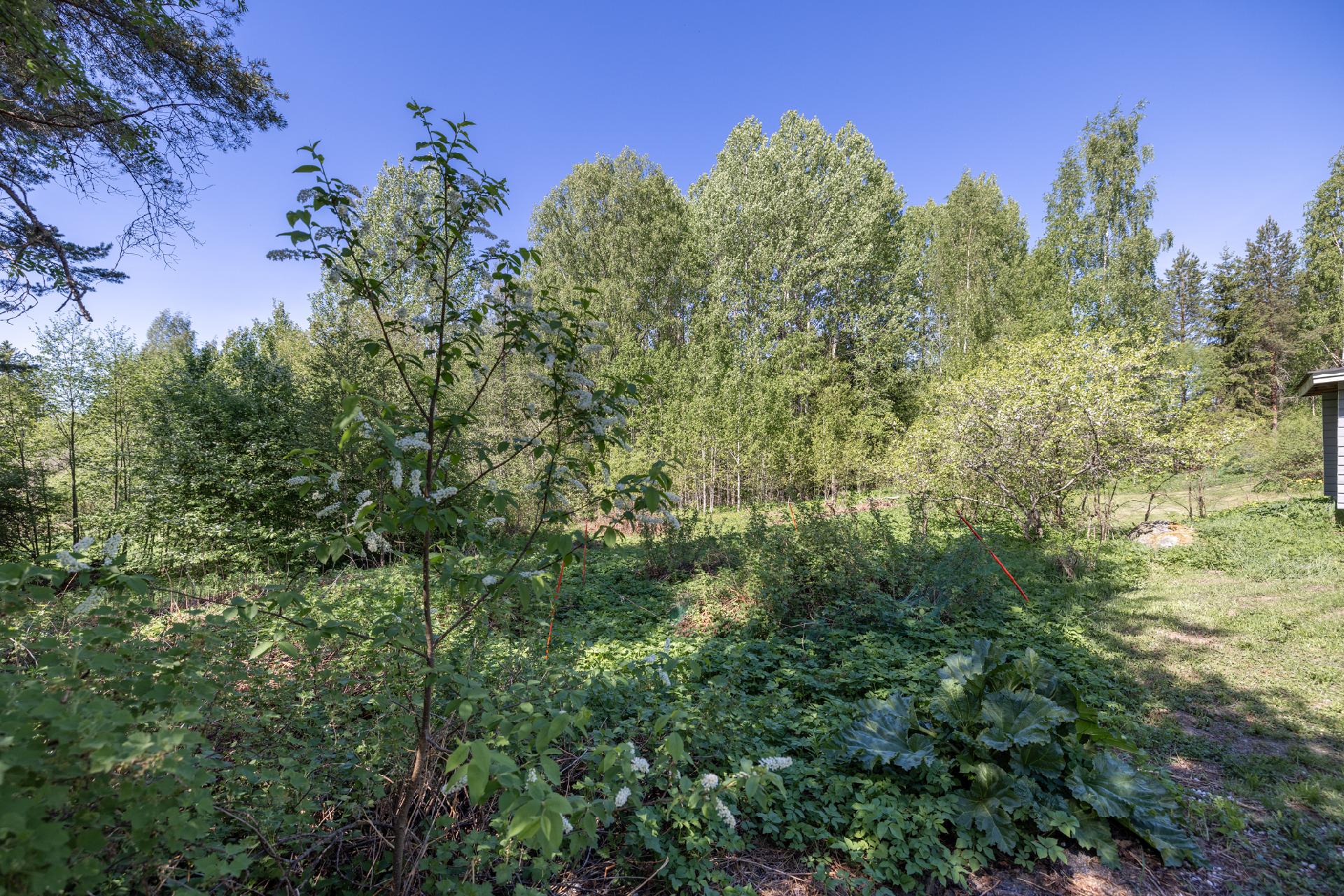 Hytkäntie 1a, Olkkolanniemi, Mikkeli