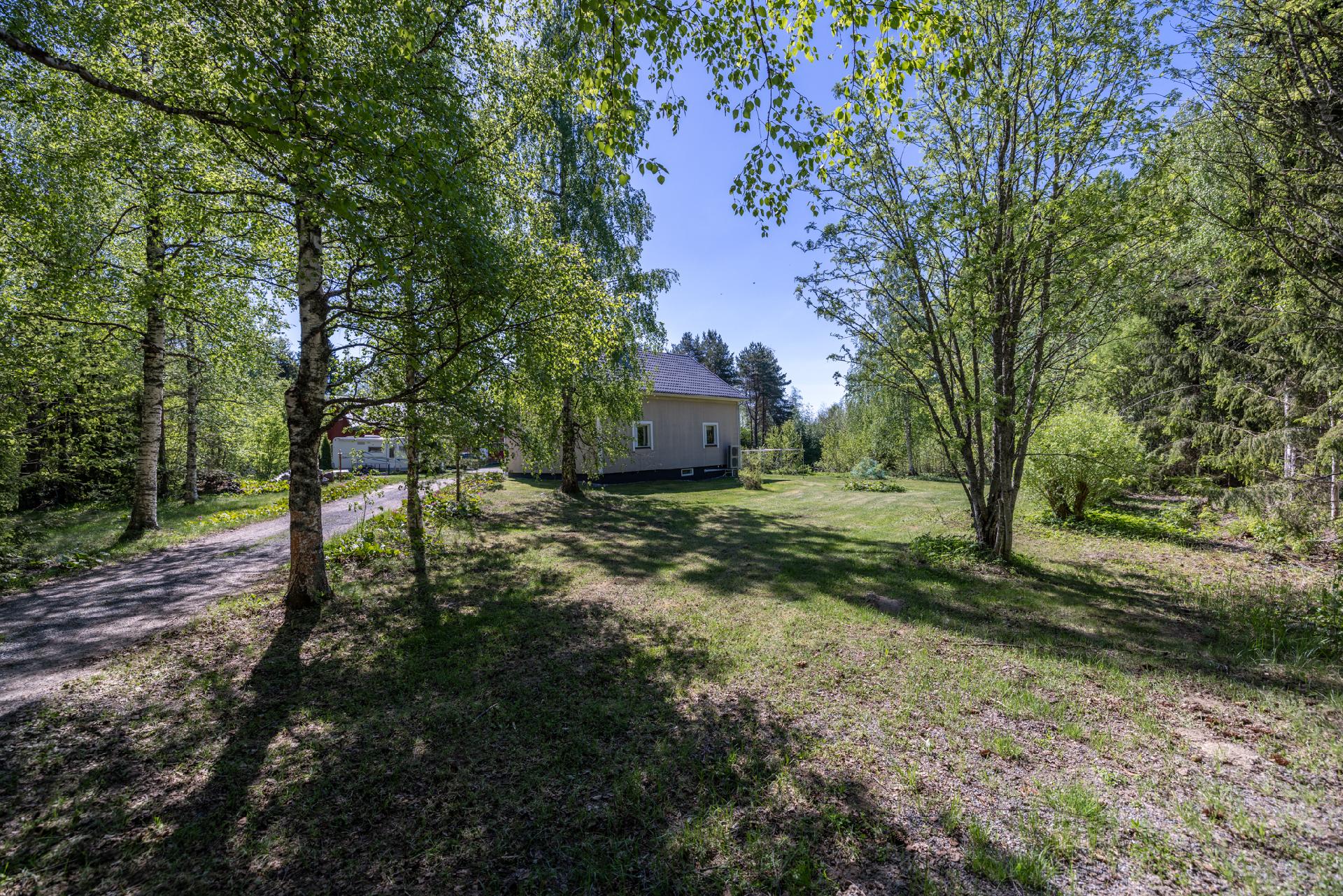 Koivukuja tuo pihapiiriin