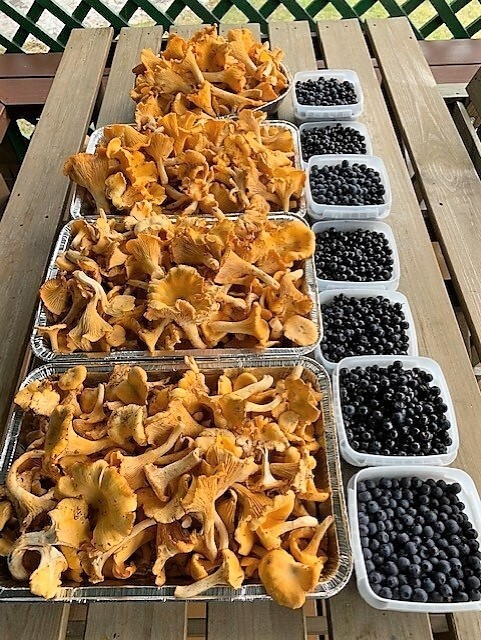 Mökkiympäristön tarjoamat herkut