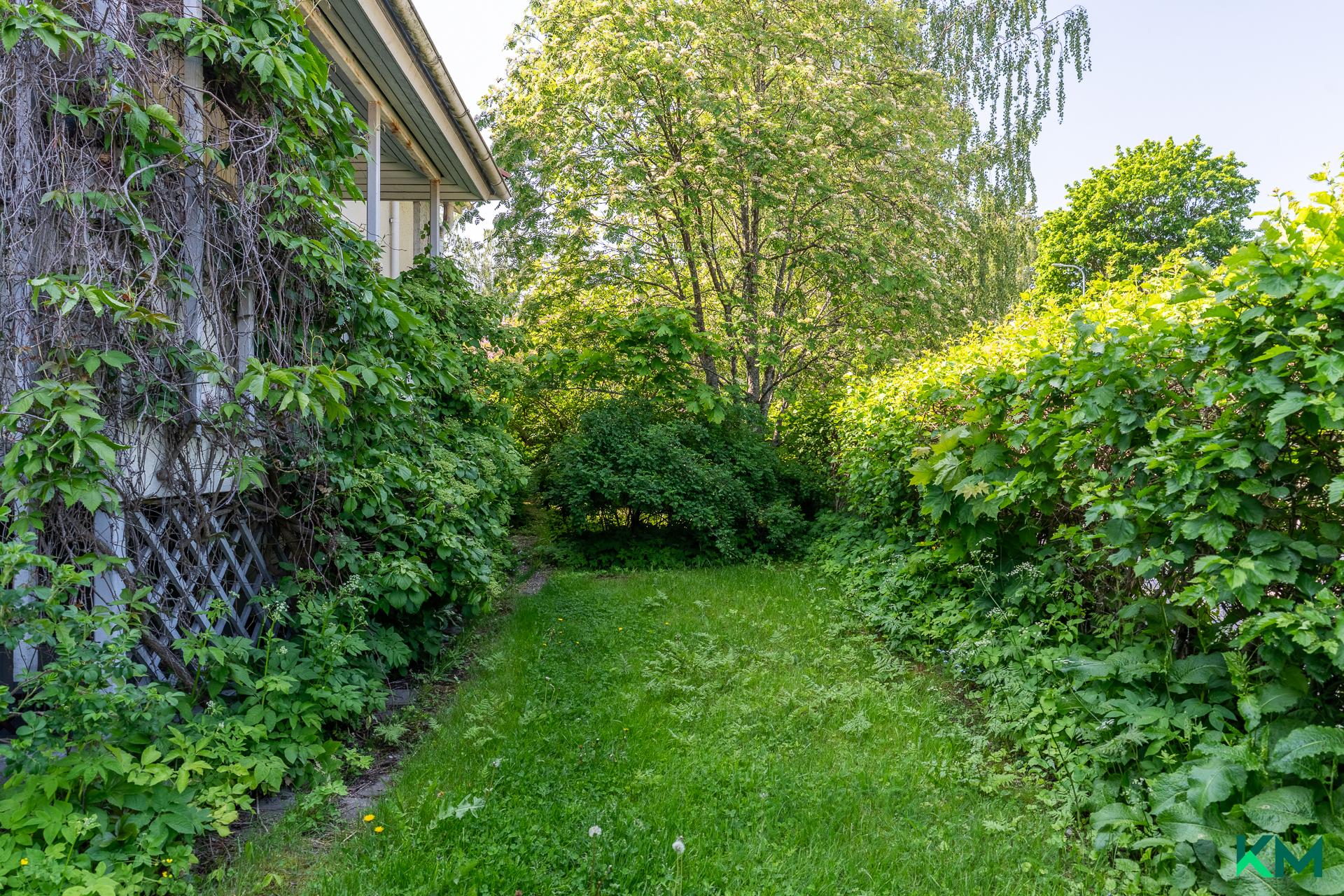 Viikingintie 21, Vartiokylä, Helsinki