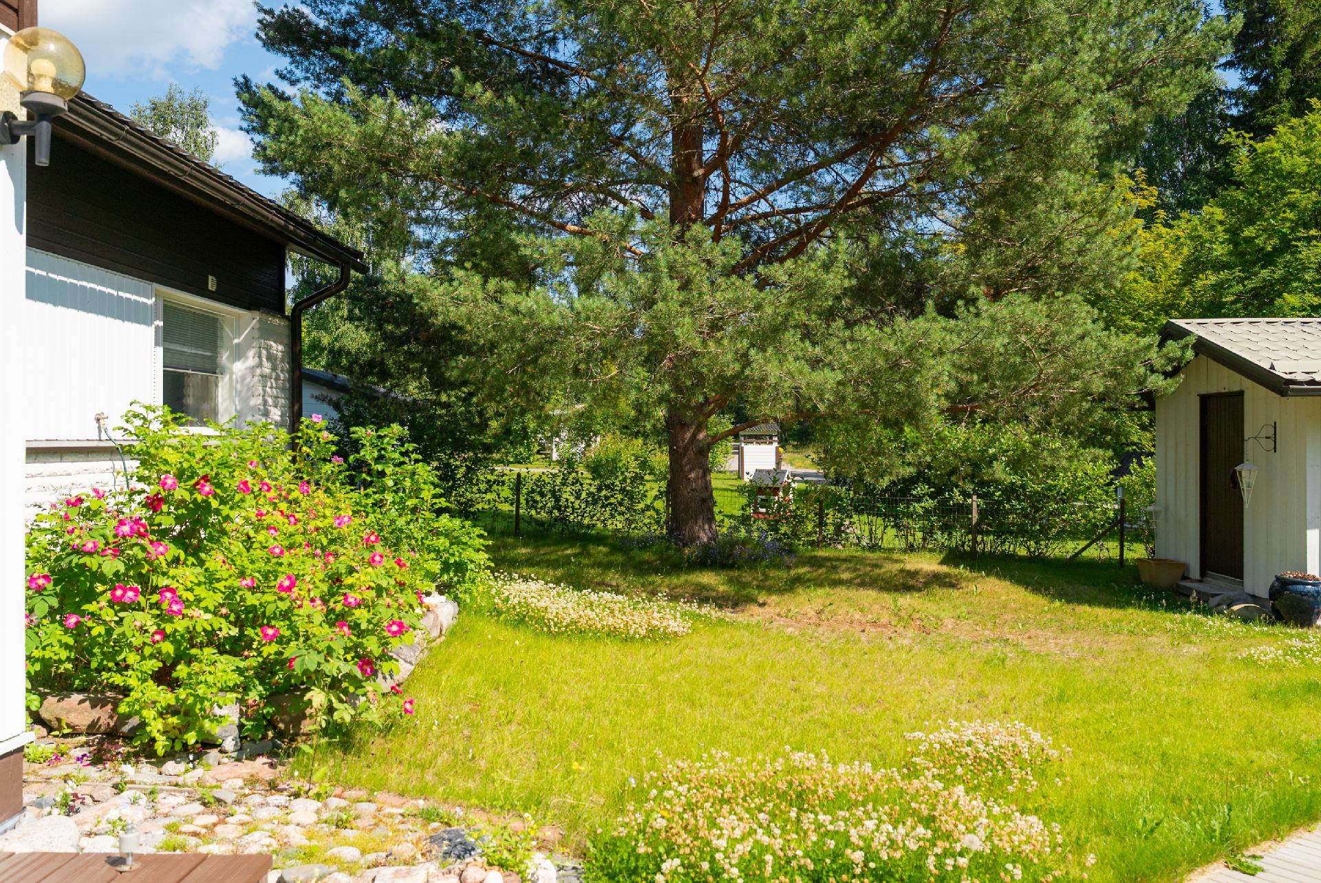 Joutsenkuja 1, Viitasaari