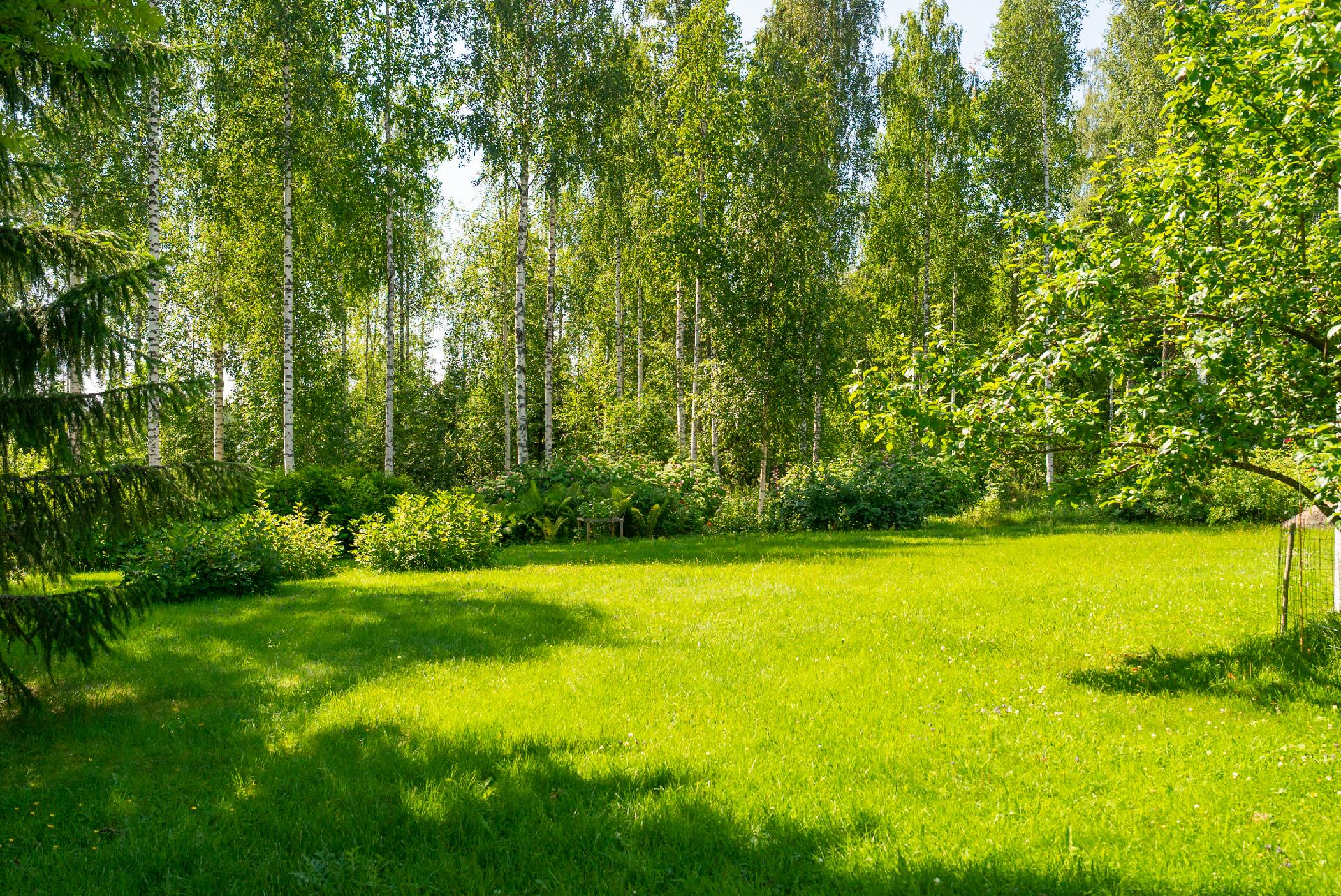 Joutsenkuja 1, Viitasaari