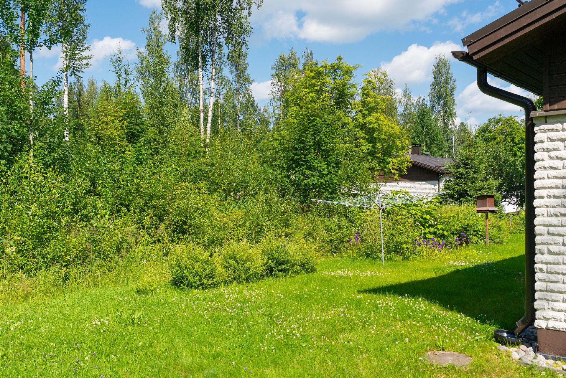 Joutsenkuja 1, Viitasaari