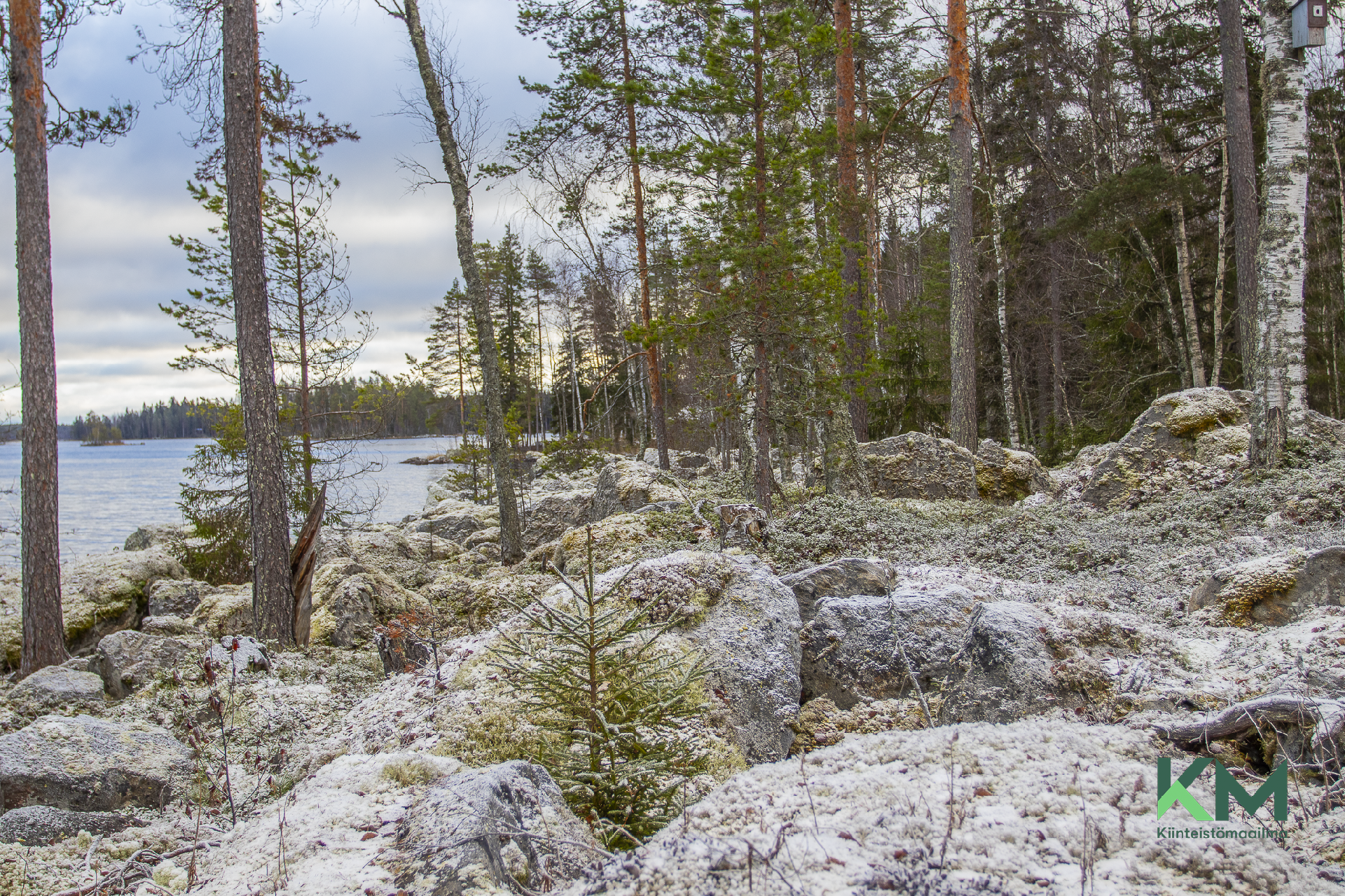 Siikasaarentie 217, Kerimäki, Savonlinna