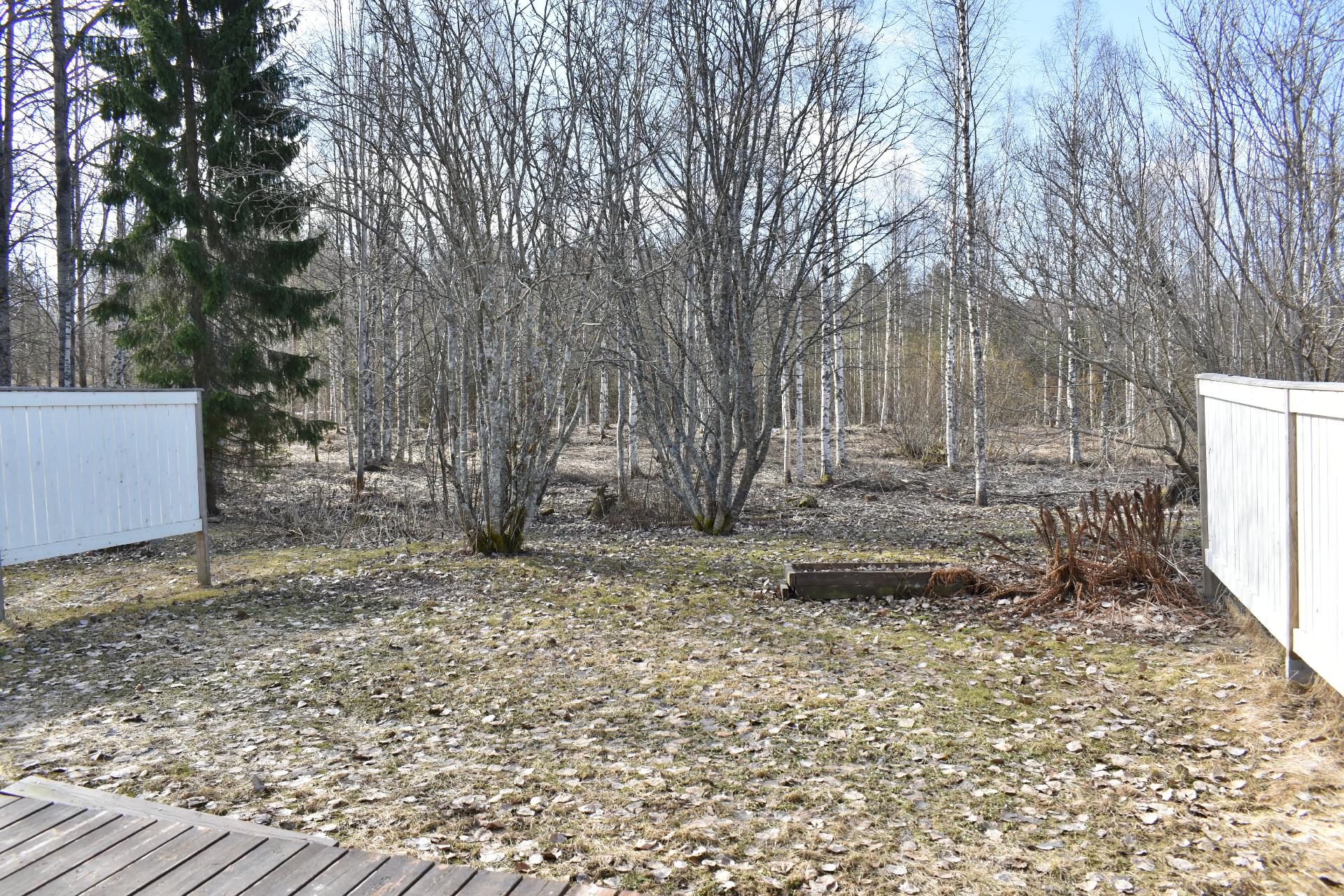 Lohenpyrstö 26, Kettu, Kajaani