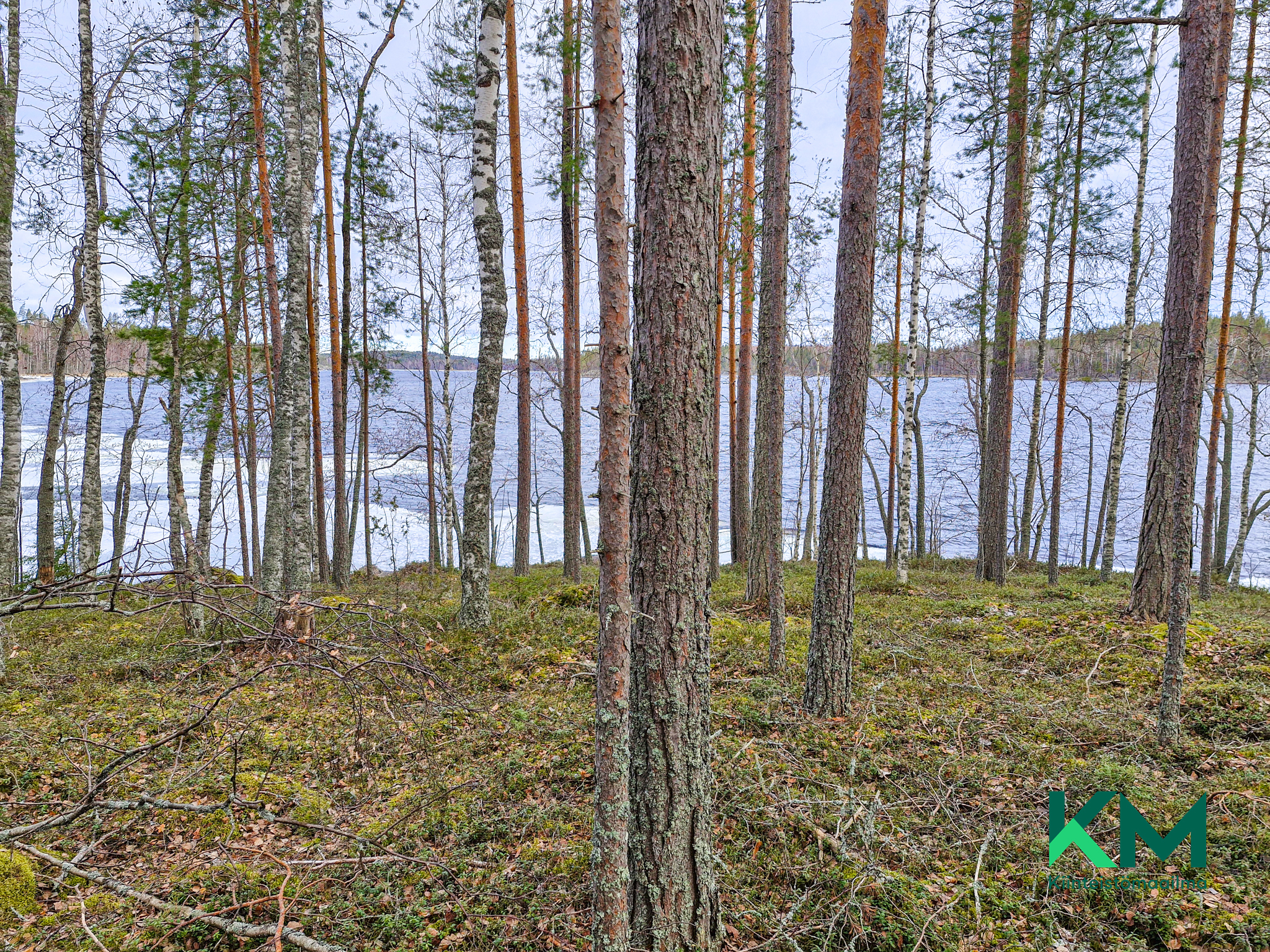 Virransaari -, Tolvanniemi, Savonlinna