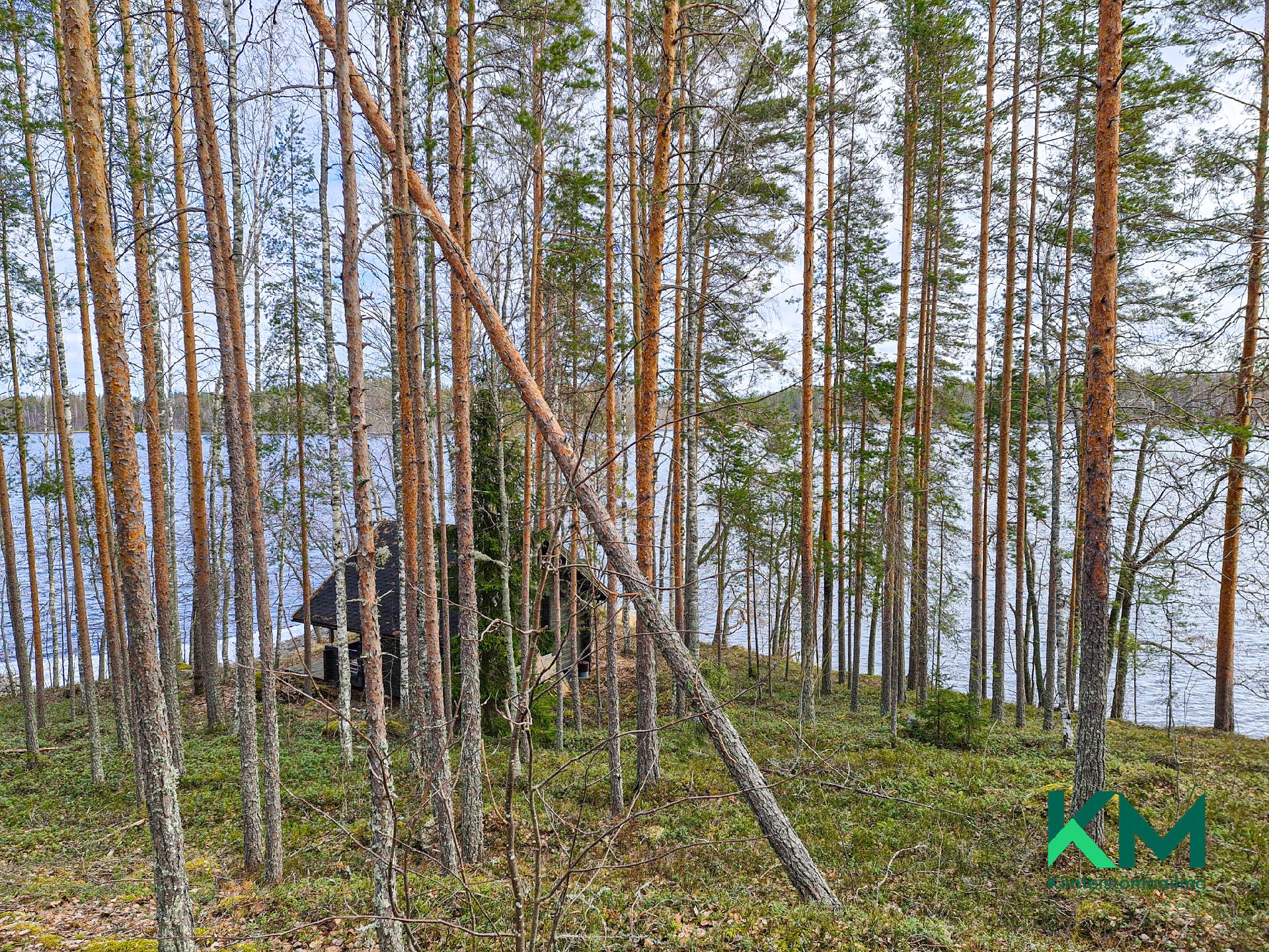 Virransaari -, Tolvanniemi, Savonlinna