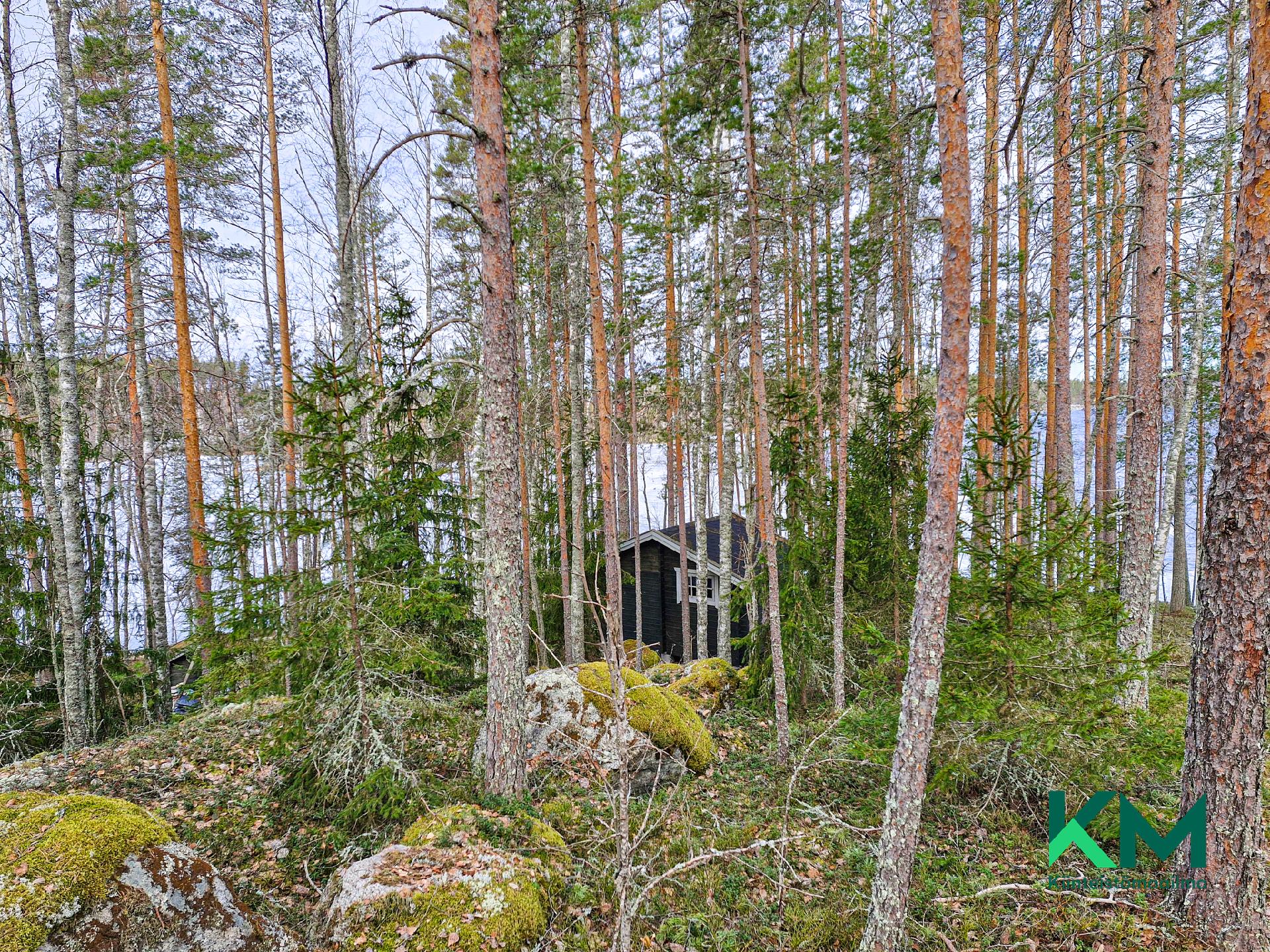 Virransaari -, Tolvanniemi, Savonlinna