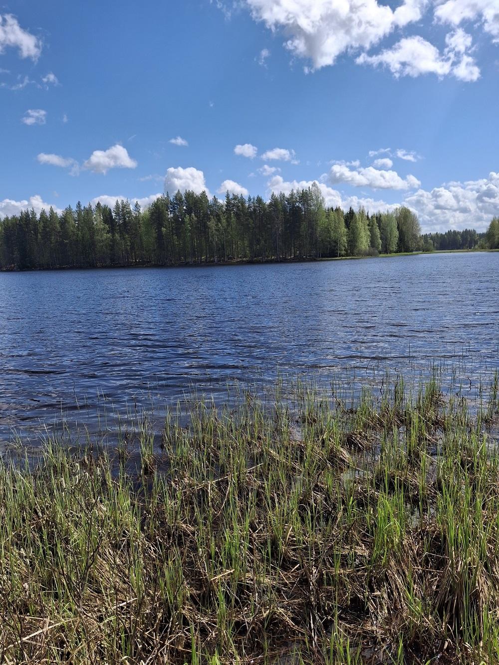 Purhontie 233, Pelonniemi, Kuopio