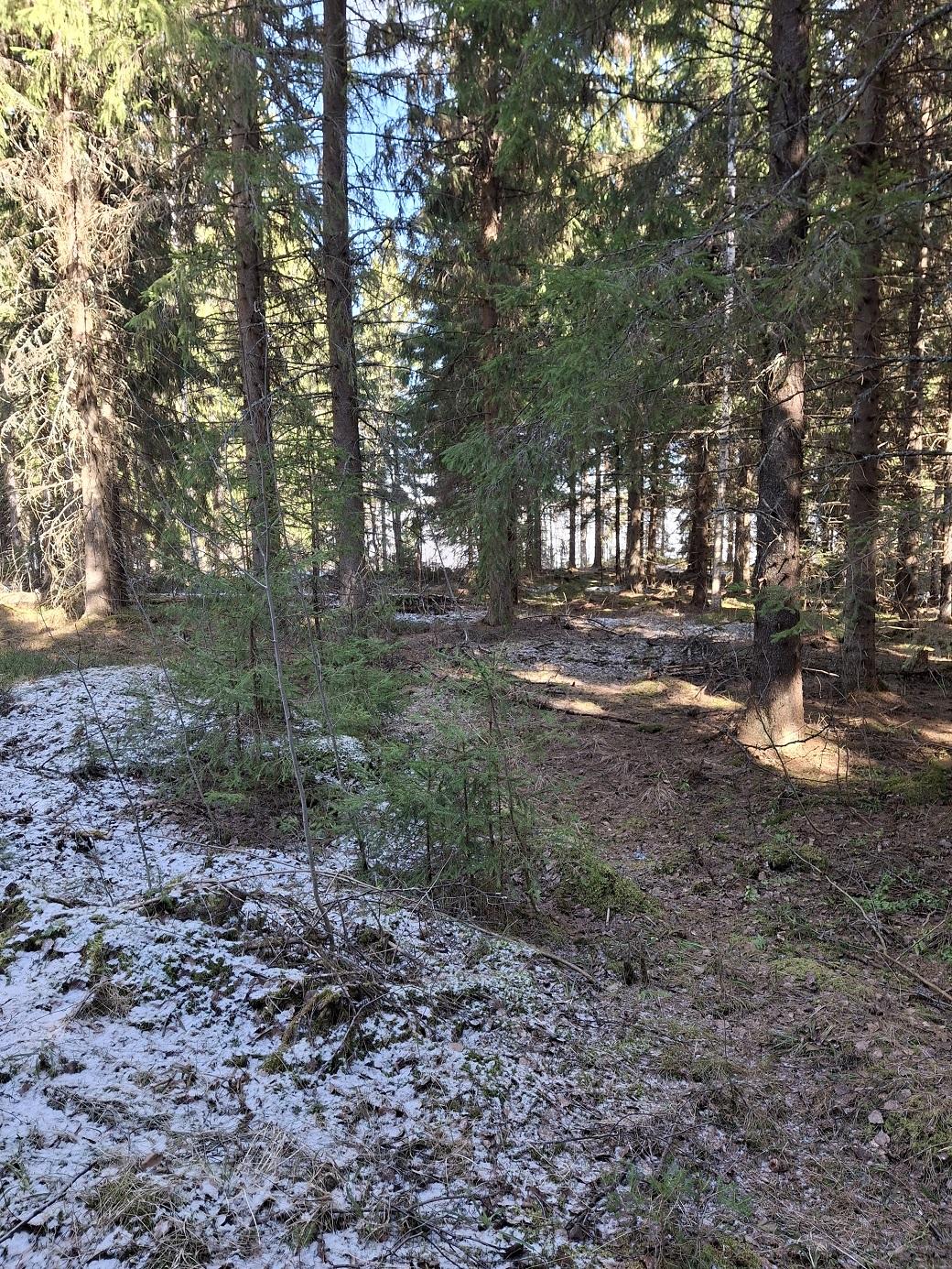 Purhontie 233, Pelonniemi, Kuopio