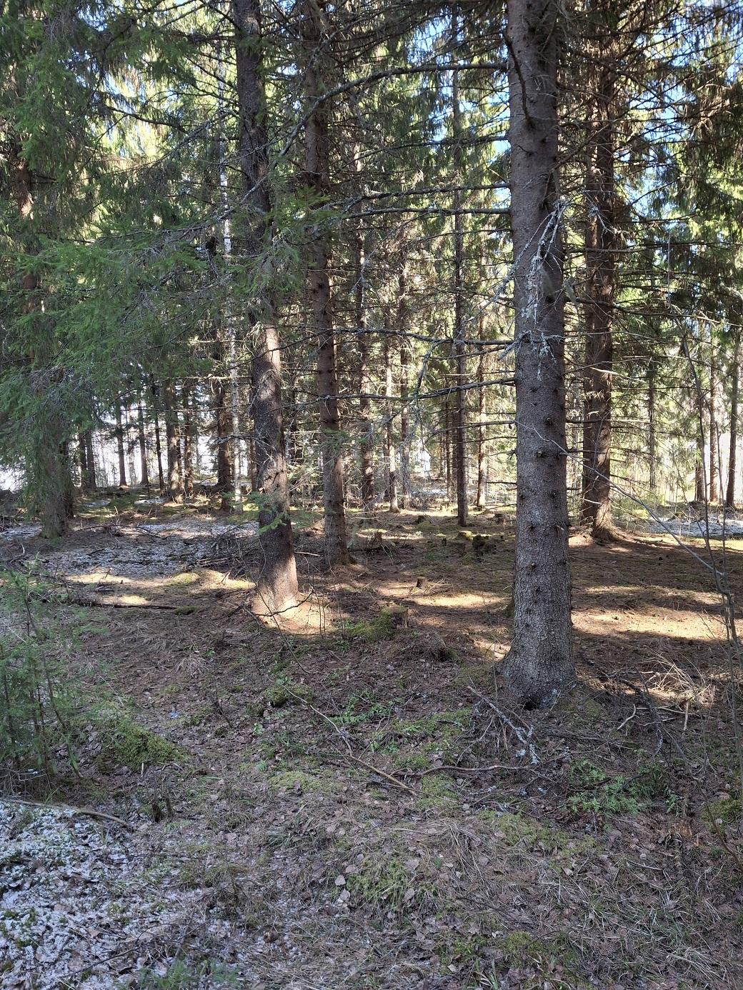 Purhontie 233, Pelonniemi, Kuopio