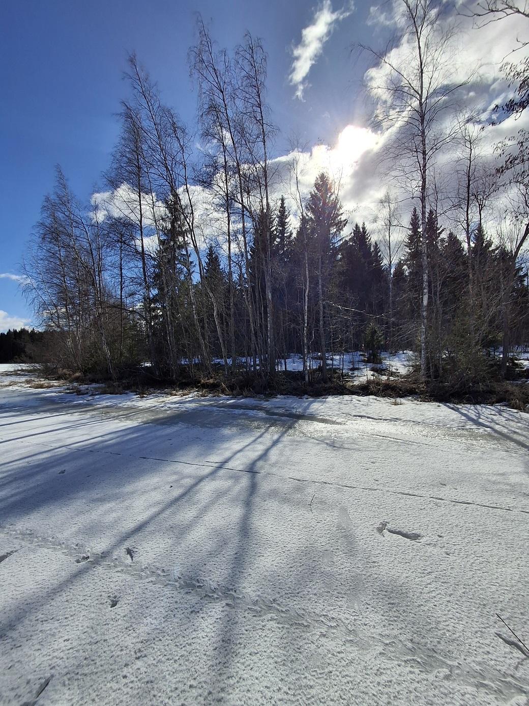 Purhontie 233, Pelonniemi, Kuopio