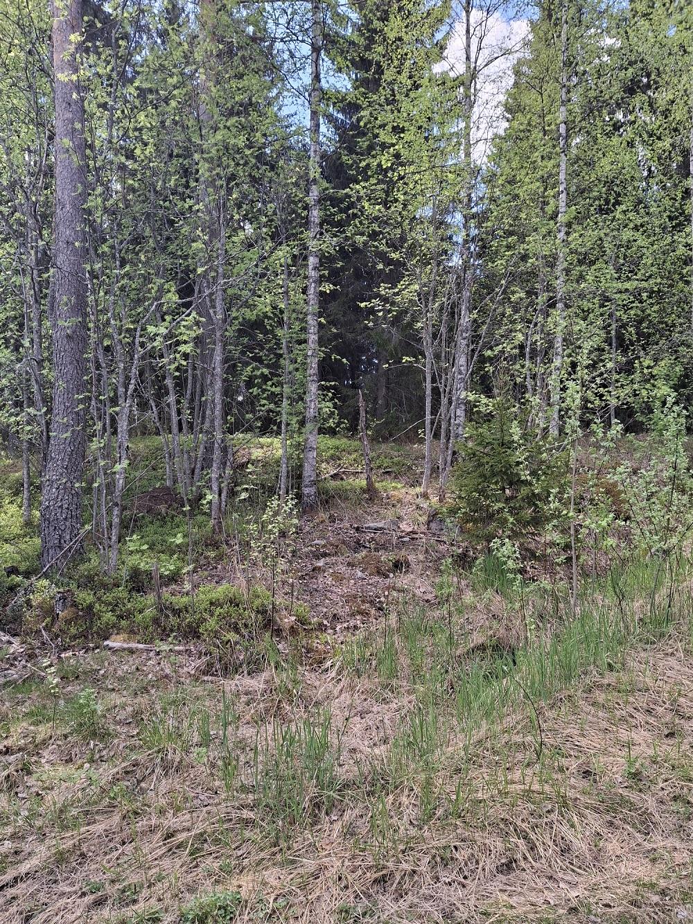 Purhontie 233, Pelonniemi, Kuopio