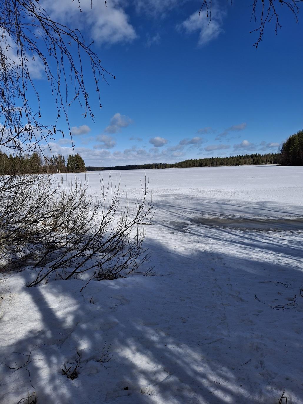 Purhontie 233, Pelonniemi, Kuopio