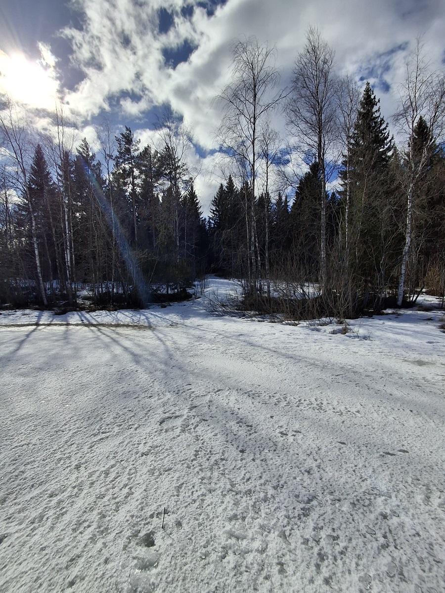 Purhontie 233, Pelonniemi, Kuopio