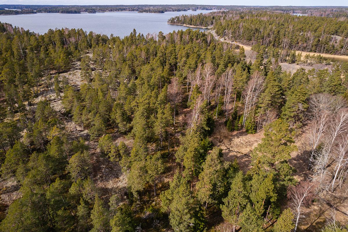 Södra Svartö 1, Degerö, Inkoo