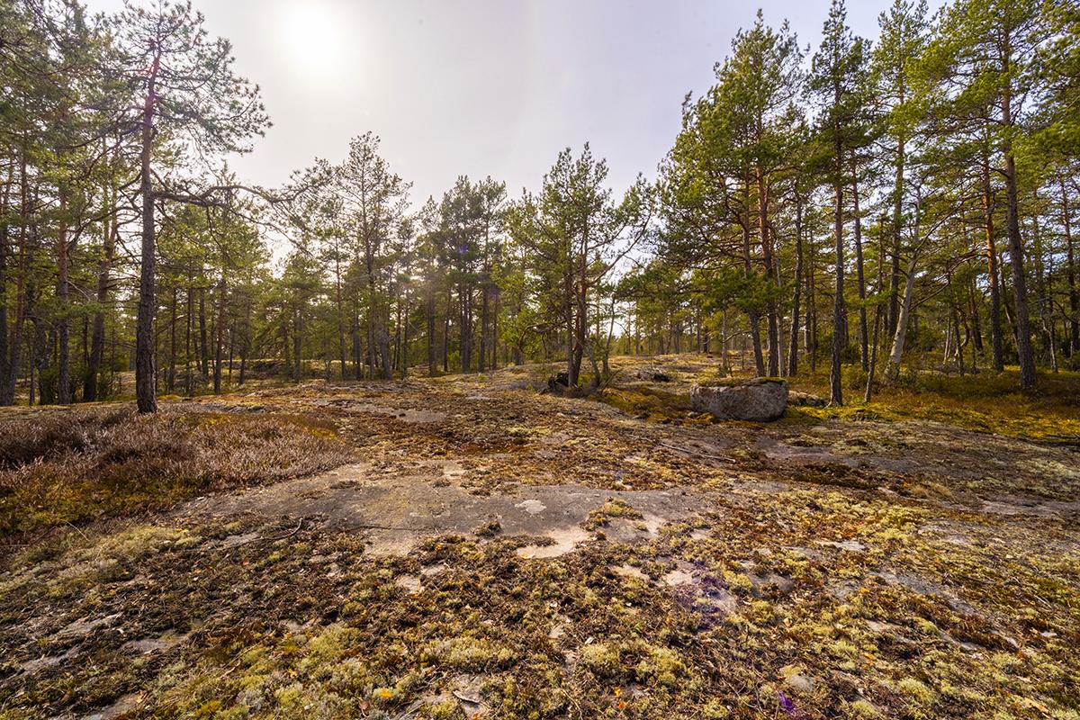 Södra Svartö 1, Degerö, Inkoo