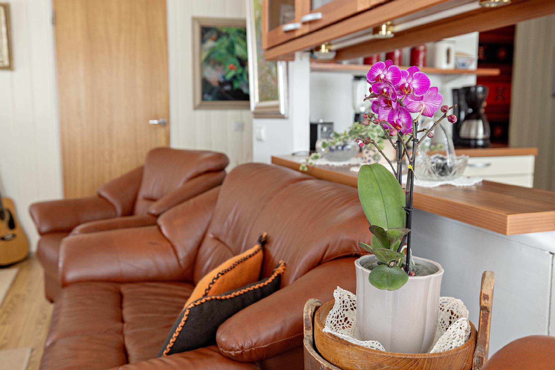 Kanervatie 4, Vaala, Vaala