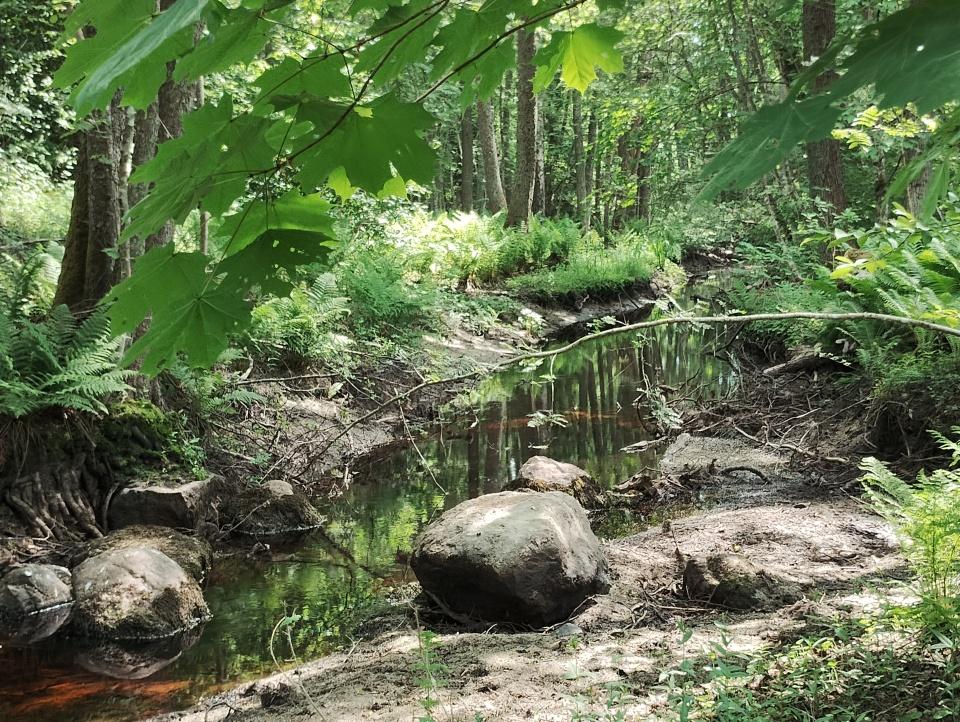 Rorkulten 5, Tammisaari, Raasepori