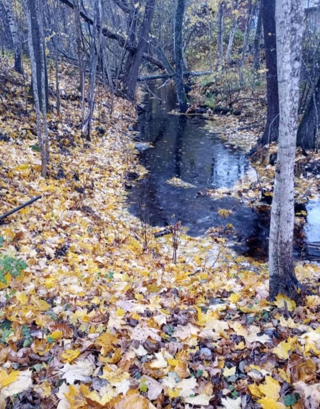 Rorkulten 5, Tammisaari, Raasepori