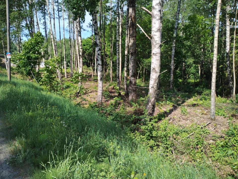 Rorkulten 5, Tammisaari, Raasepori