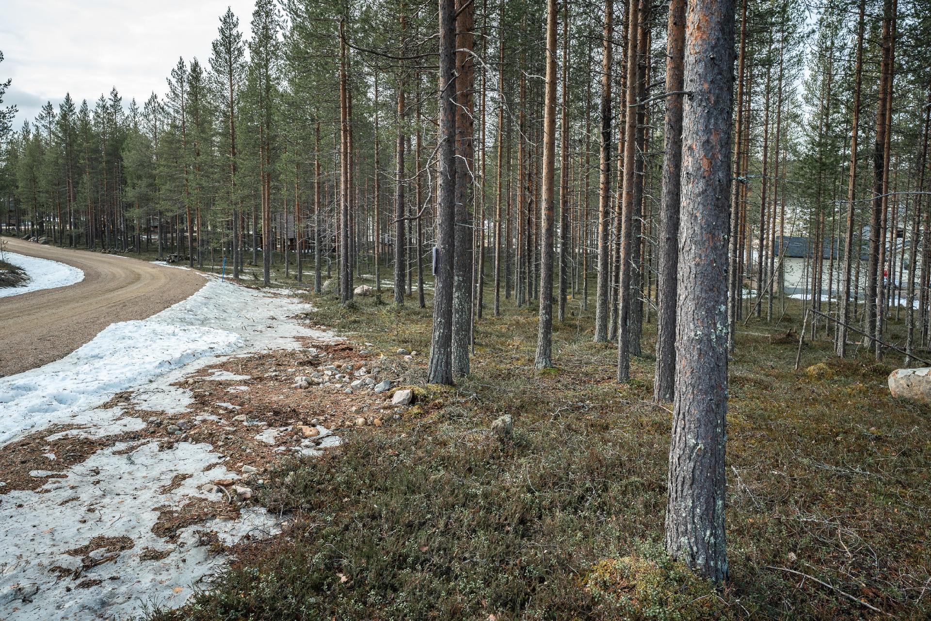 Kuksatie 6, Pyhätunturi, Pelkosenniemi