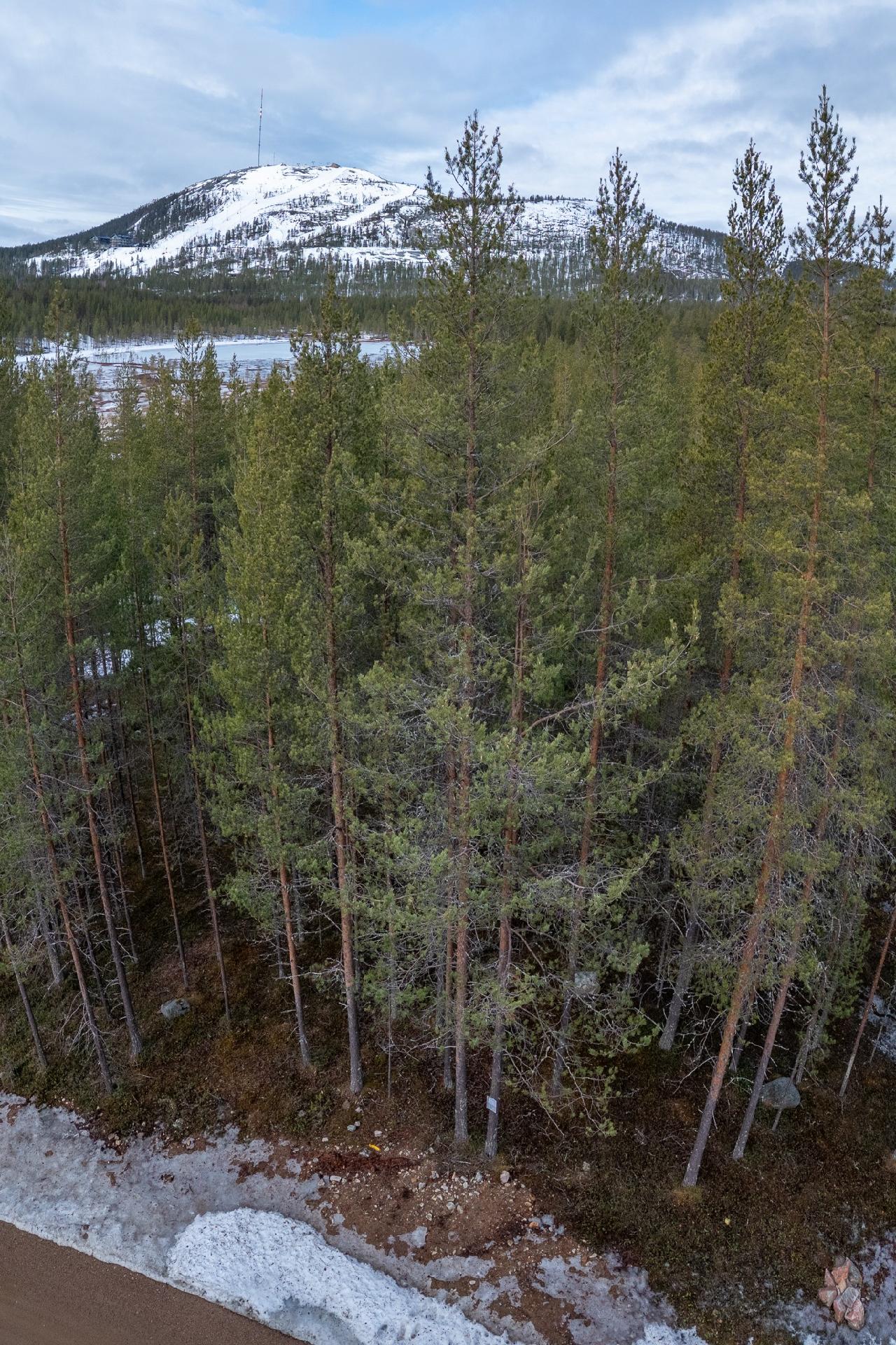 Kuksatie 6, Pyhätunturi, Pelkosenniemi