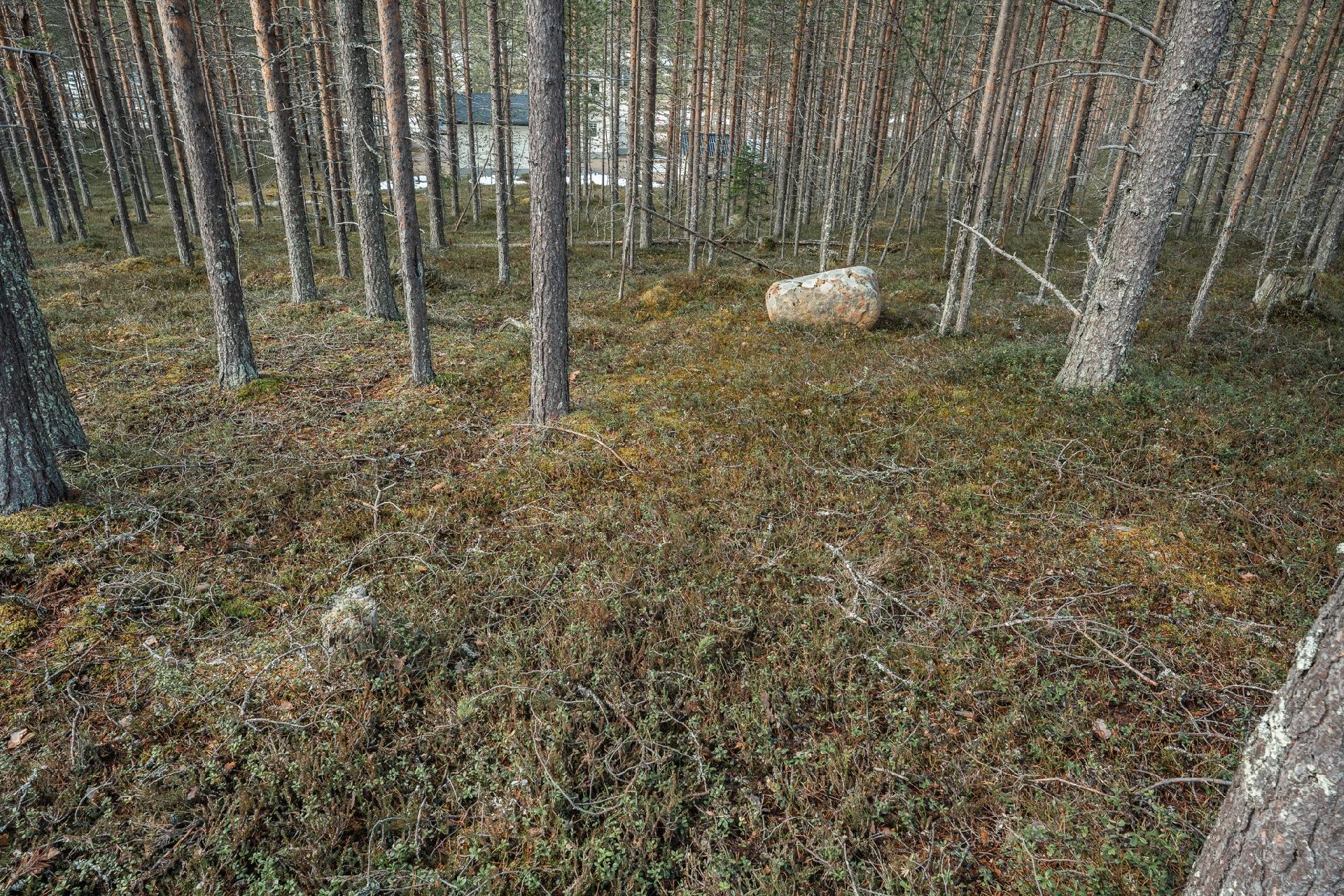 Kuksatie 6, Pyhätunturi, Pelkosenniemi