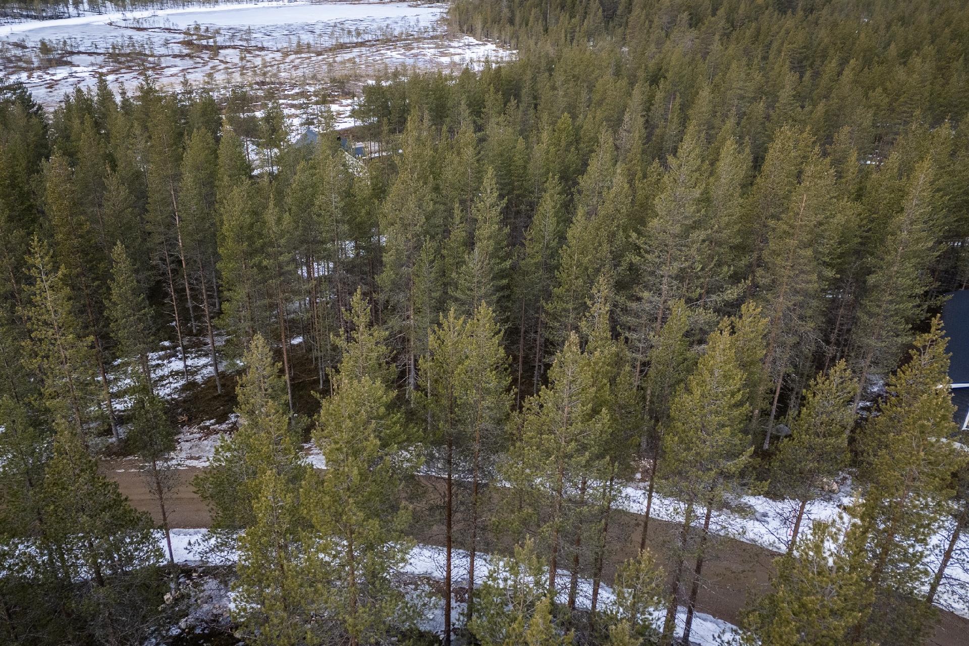 Kuksatie 6, Pyhätunturi, Pelkosenniemi