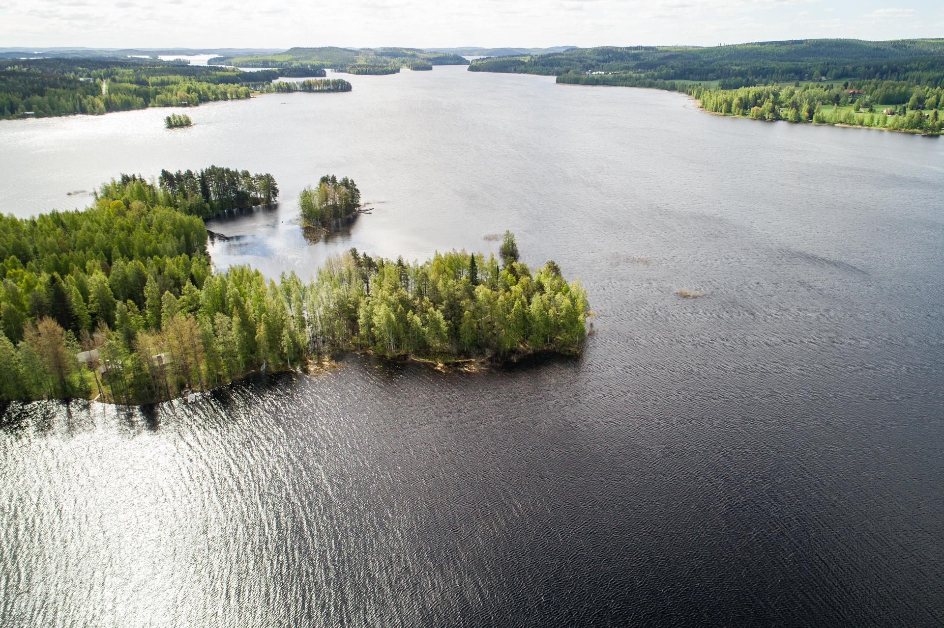 Lamposaari 1, Konginkangas, Äänekoski