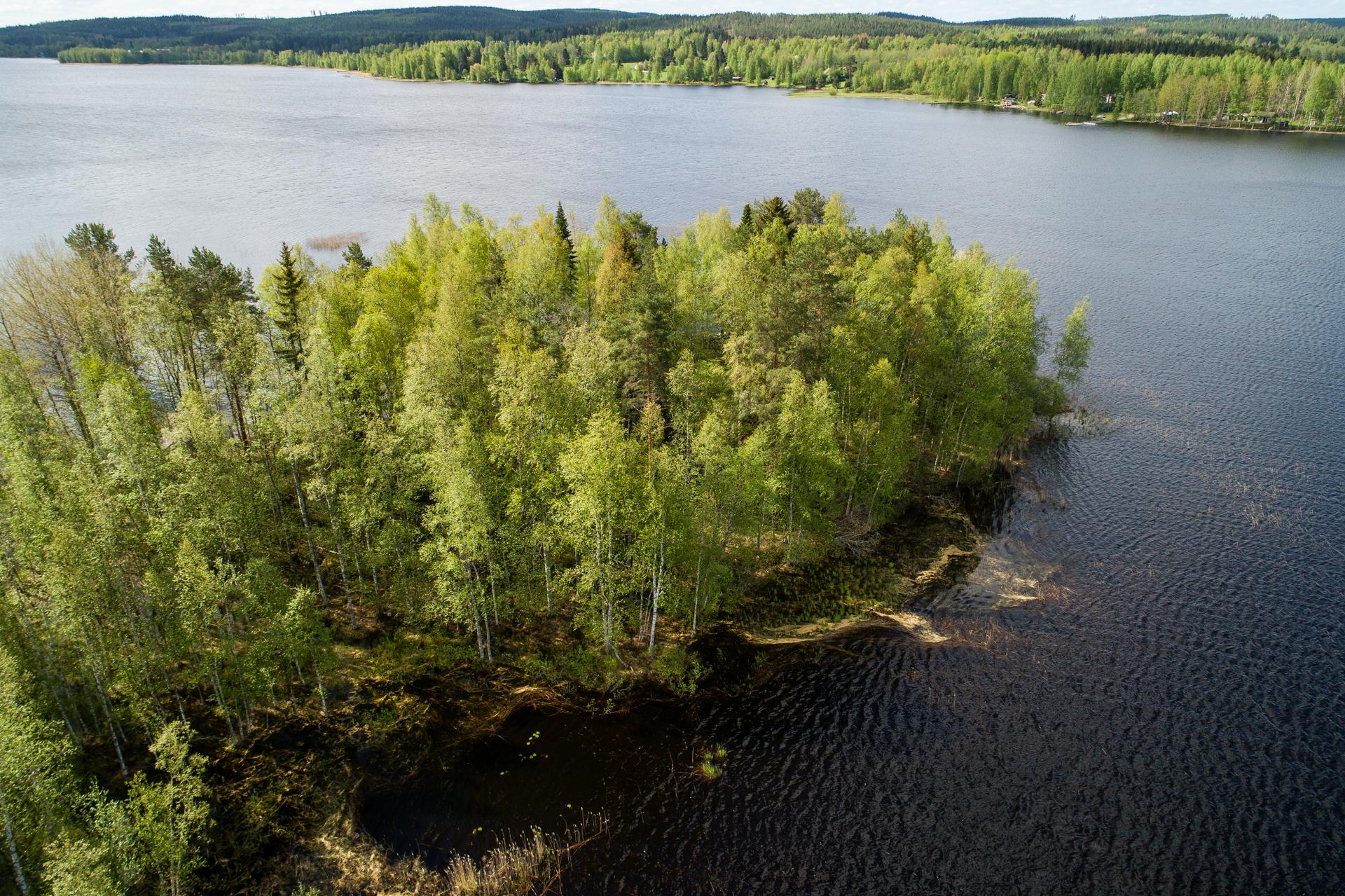 Lamposaari 1, Konginkangas, Äänekoski