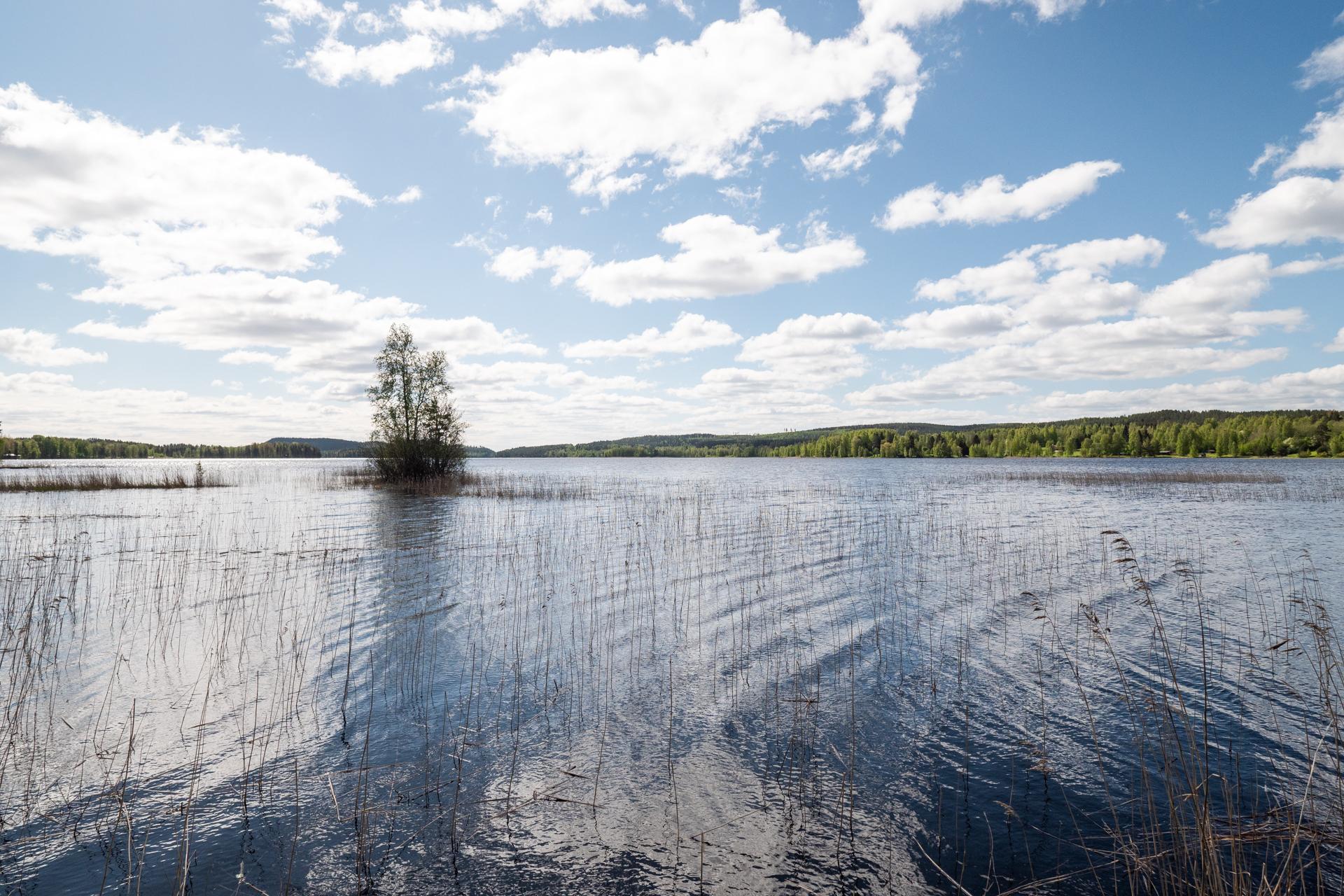 Lamposaari 1, Konginkangas, Äänekoski