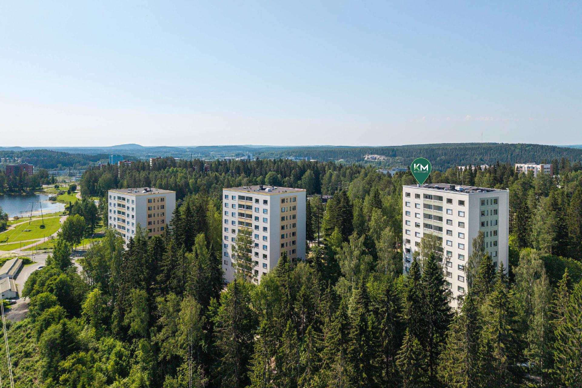 Sammakkolammentie 1, Puijonlaakso, Kuopio