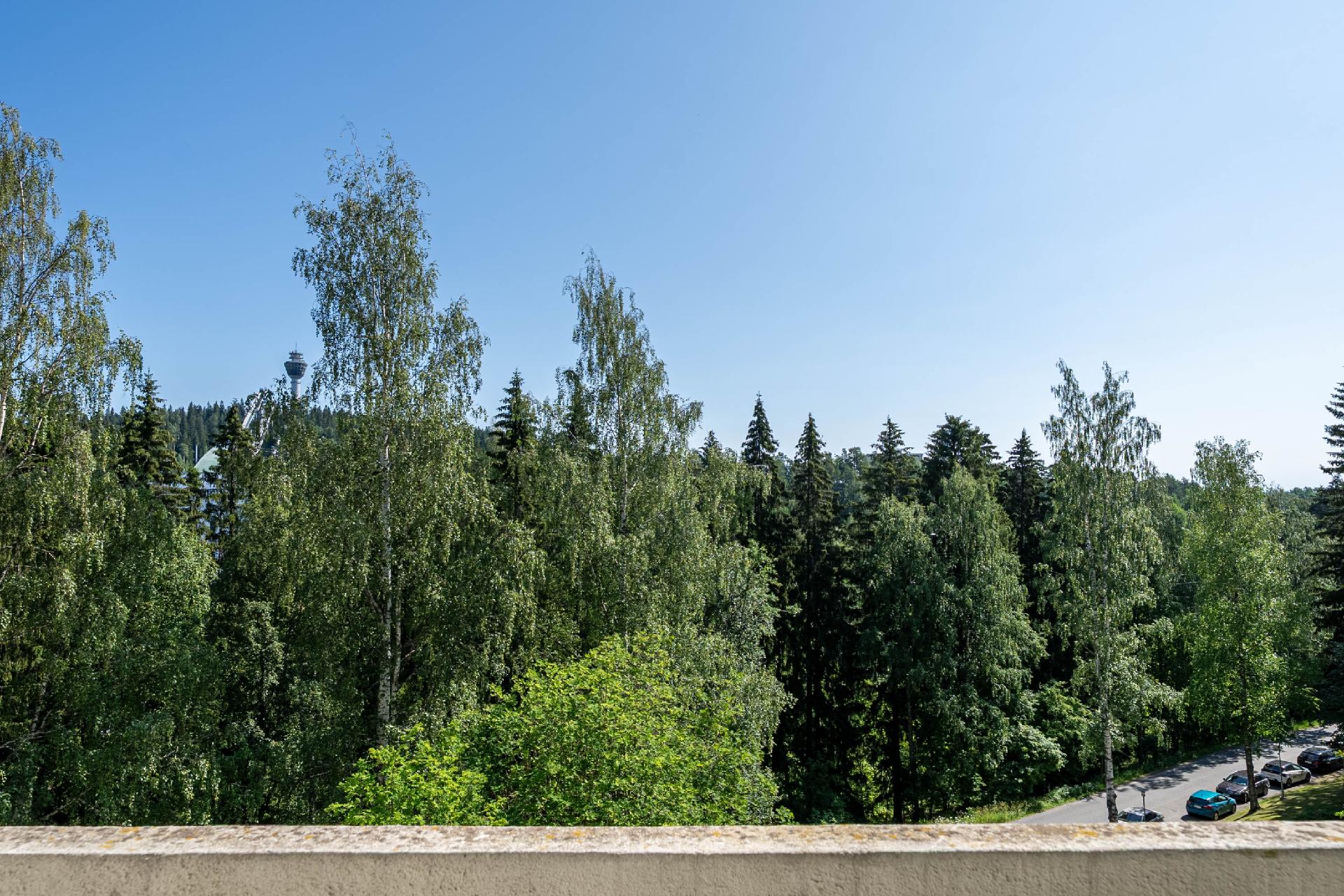 Sammakkolammentie 1, Puijonlaakso, Kuopio