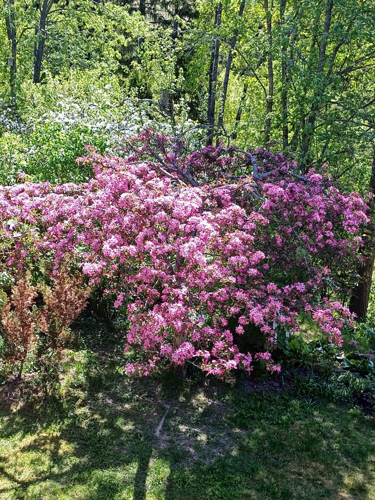 Harjutie 5, Klaukkala, Nurmijärvi