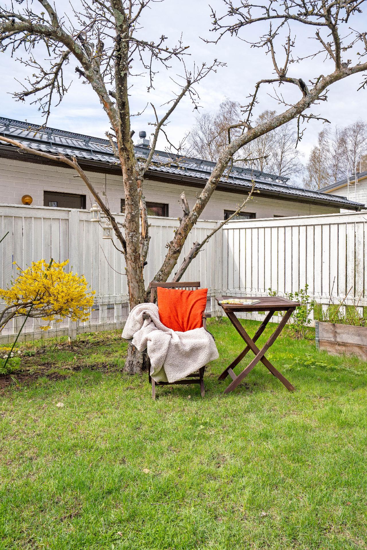 Aurinkoisella pihalle viihtyy moni, puun varjossa voit myös istua.